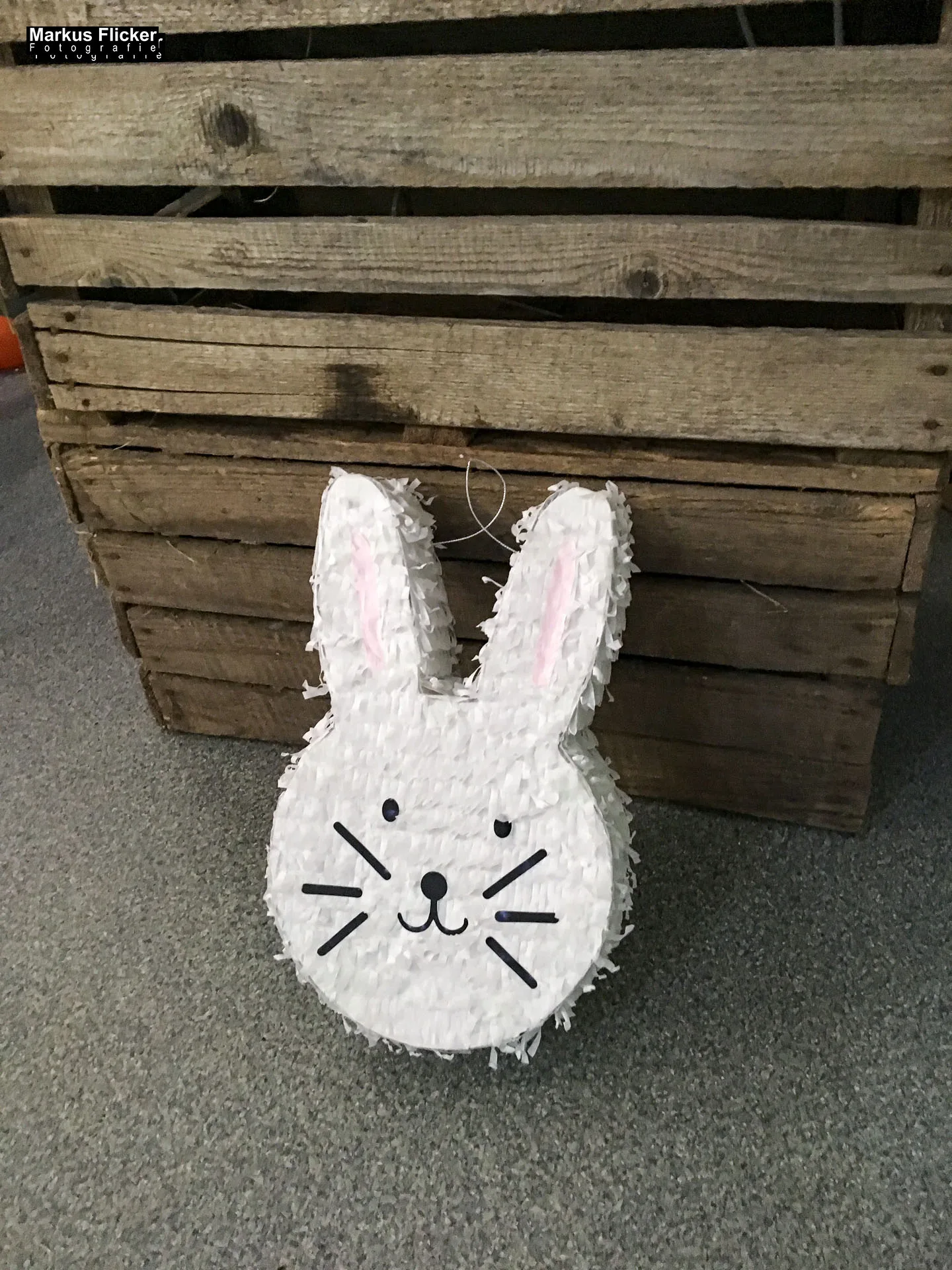 Making Of sexy Ostershooting im Fotostudio mit Hasen im Studio zu Ostern