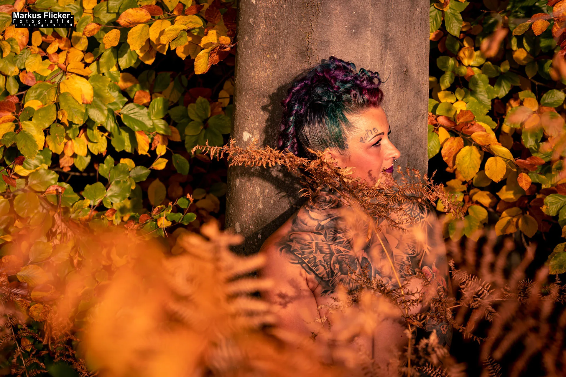 Herbst Akt im Wald mit Marietta Fotoshooting Outdoor Photography. Erotische Fotografie in der Natur. Frauenkörper in herbstlicher Waldstimmung.