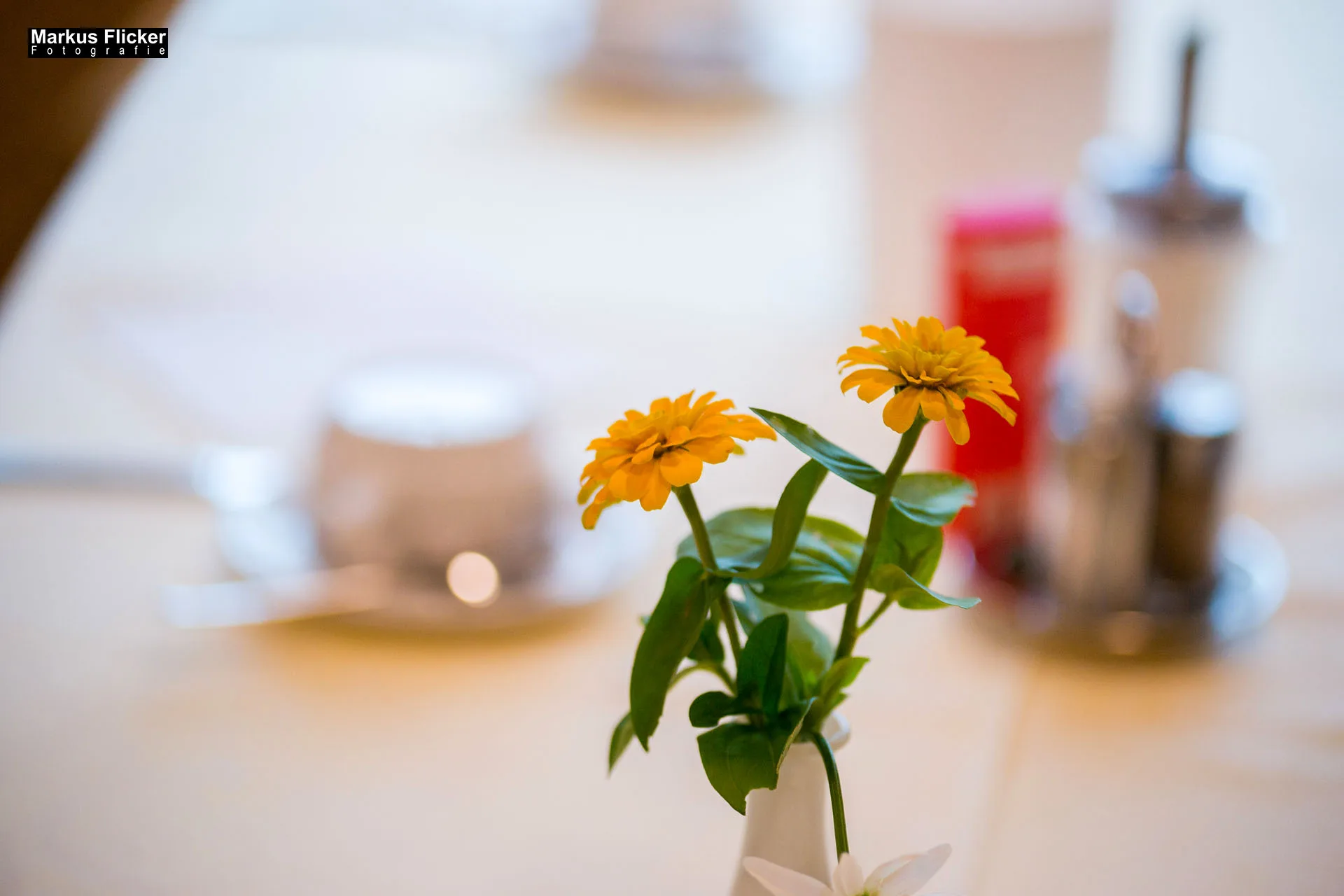 Wellness-Pension Florianihof in Miesenbach Steiermark