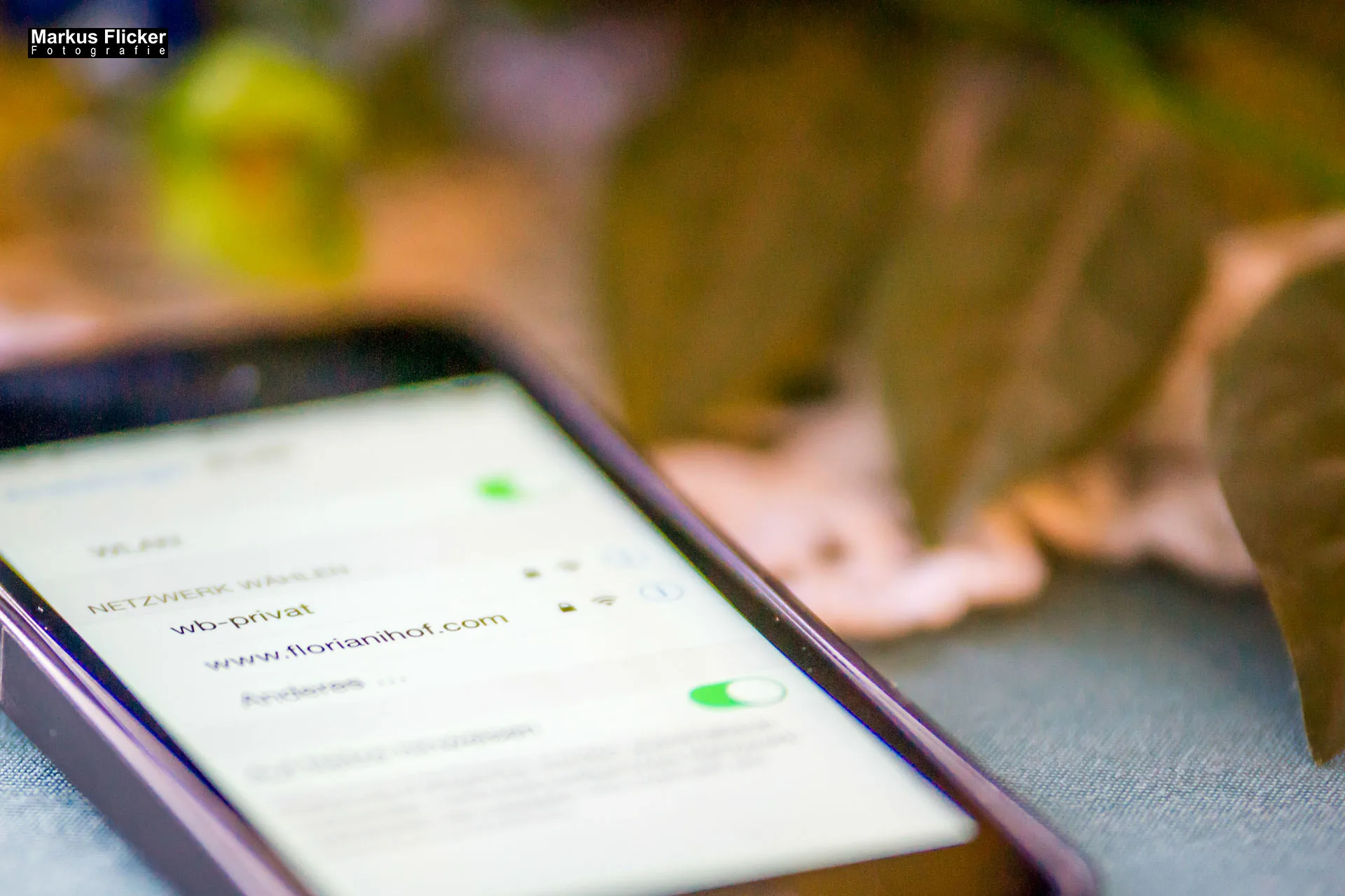 Wellness-Pension Florianihof in Miesenbach Steiermark