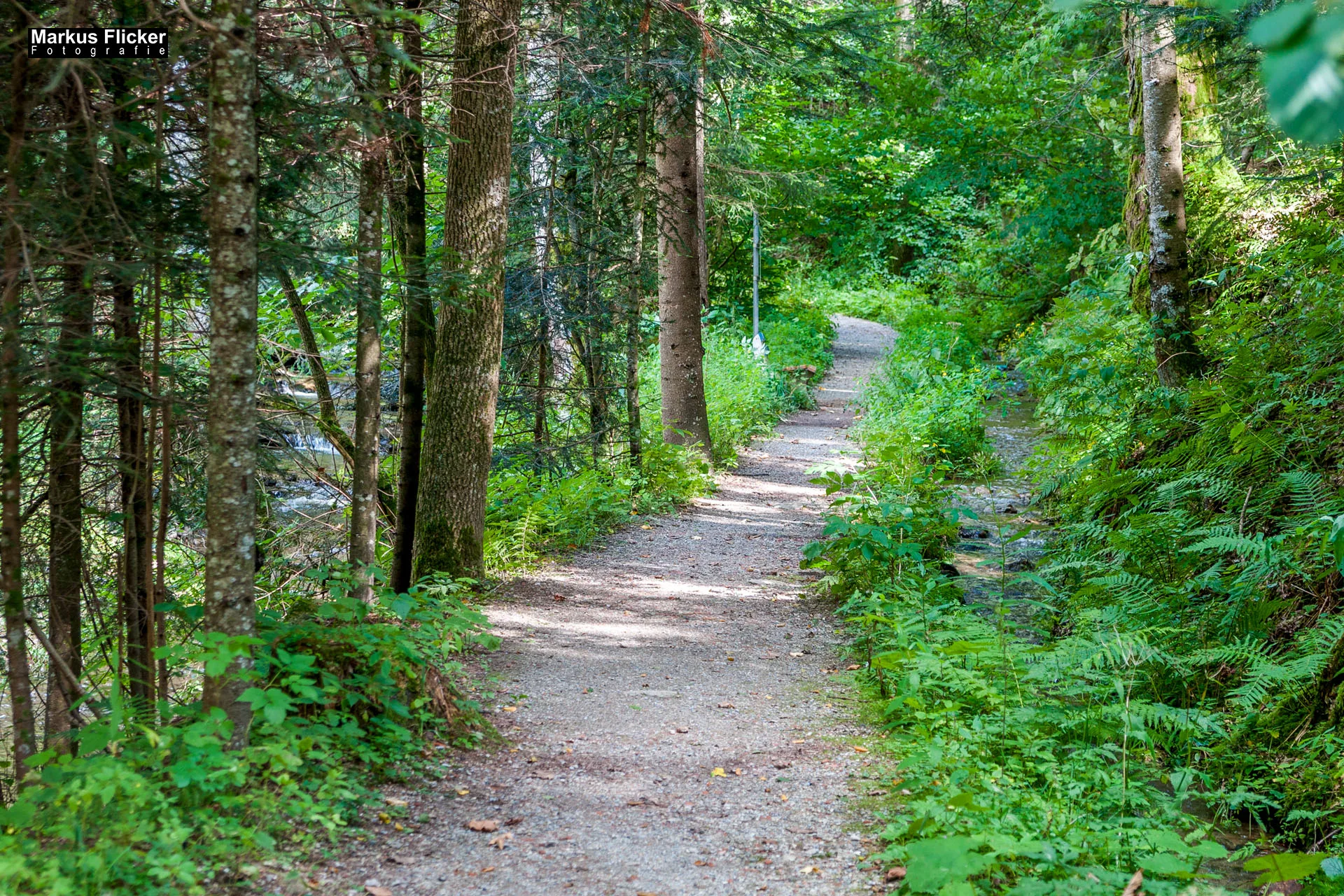 Wellness-Pension Florianihof in Miesenbach Steiermark