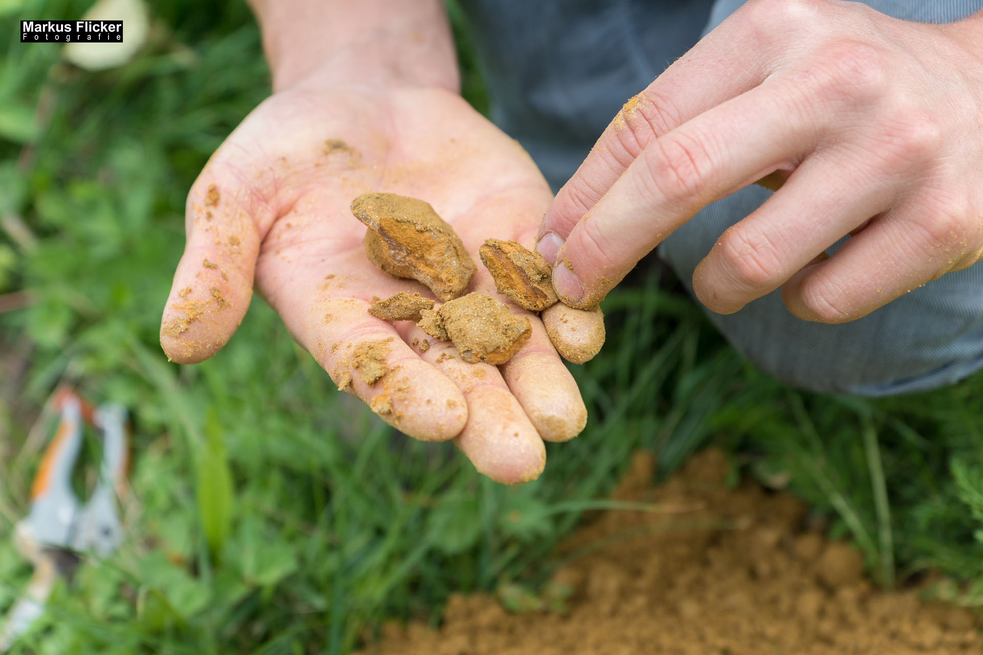 Weingut Michael am Rosenberg Werbefotos Wein Steiermark Österreich im Fotostudio Produktfotos