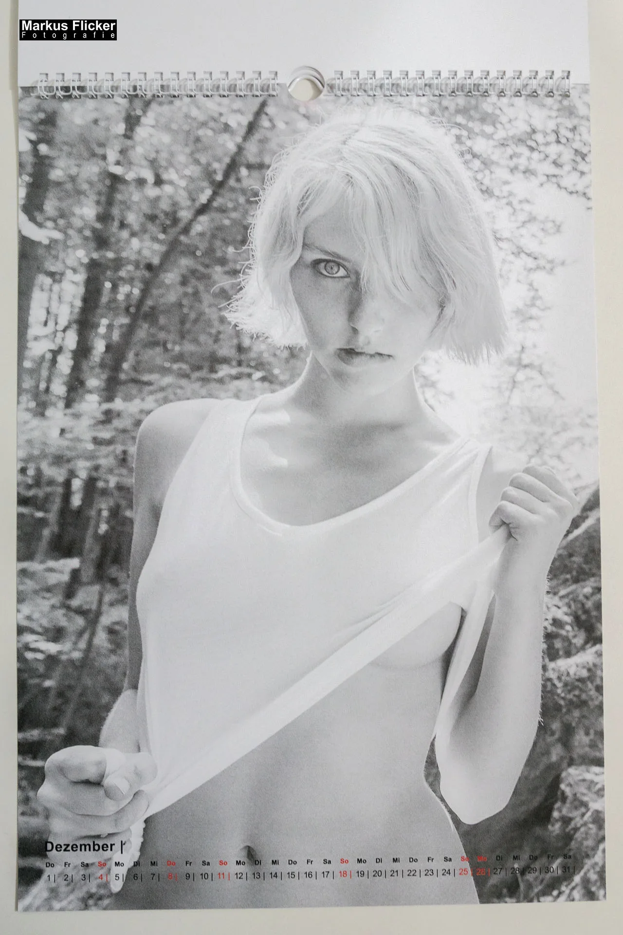 Fotodruck für Geschäft, Business, B2B, Firmen, Unternehmen und Gewerbe in Graz Steiermark Österreich Fotodruck Kalender A3 Sport Natur Personen Familie Landschaft Dessous