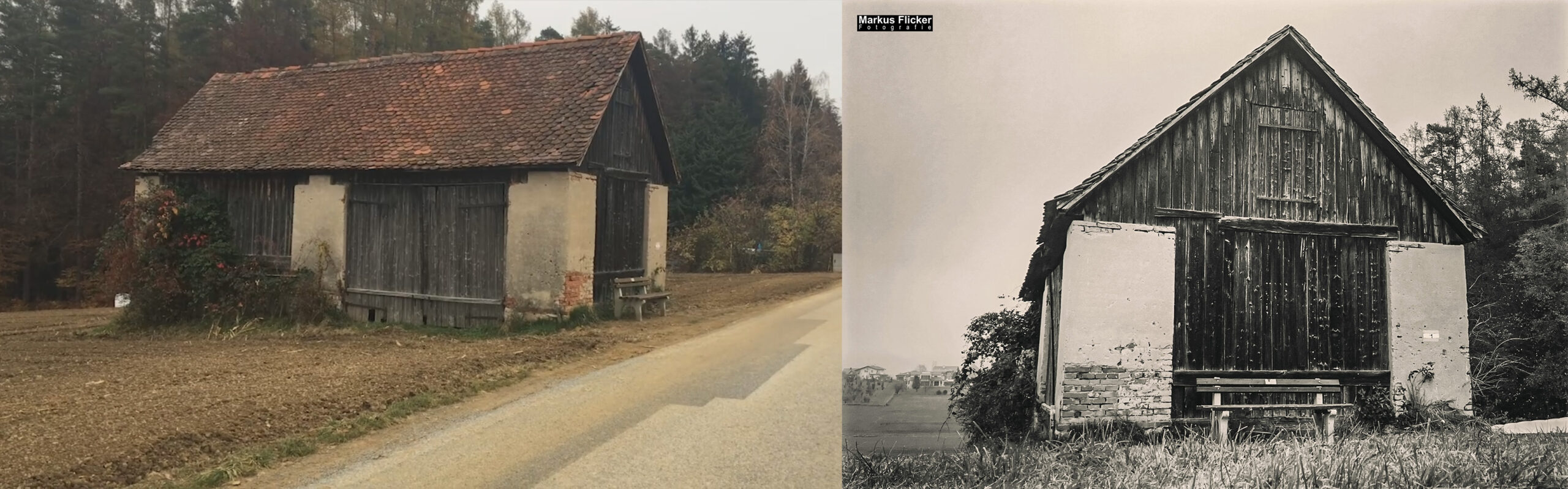 Motiv finden und in Szene setzen. Herbst Fotospaziergang bei Nebel im Wald an der Raab in der Steiermark im Wald Teil 1 inkl. Fototipps mit dem Smartphone. Fotografieren und Filmen mit dem Smartphone: Bessere Fotos und Videos mit dem Handy für Freizeit, Hobby und Business
