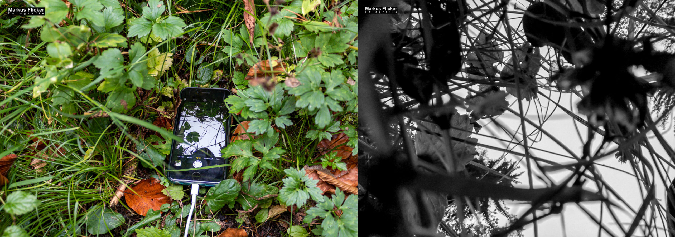 Blick vom Boden Richtung Himmel mit der Selfie Funktion. Herbst Fotospaziergang bei Nebel im Wald an der Raab in der Steiermark im Wald Teil 1 inkl. Fototipps mit dem Smartphone. Fotografieren und Filmen mit dem Smartphone: Bessere Fotos und Videos mit dem Handy für Freizeit, Hobby und Business