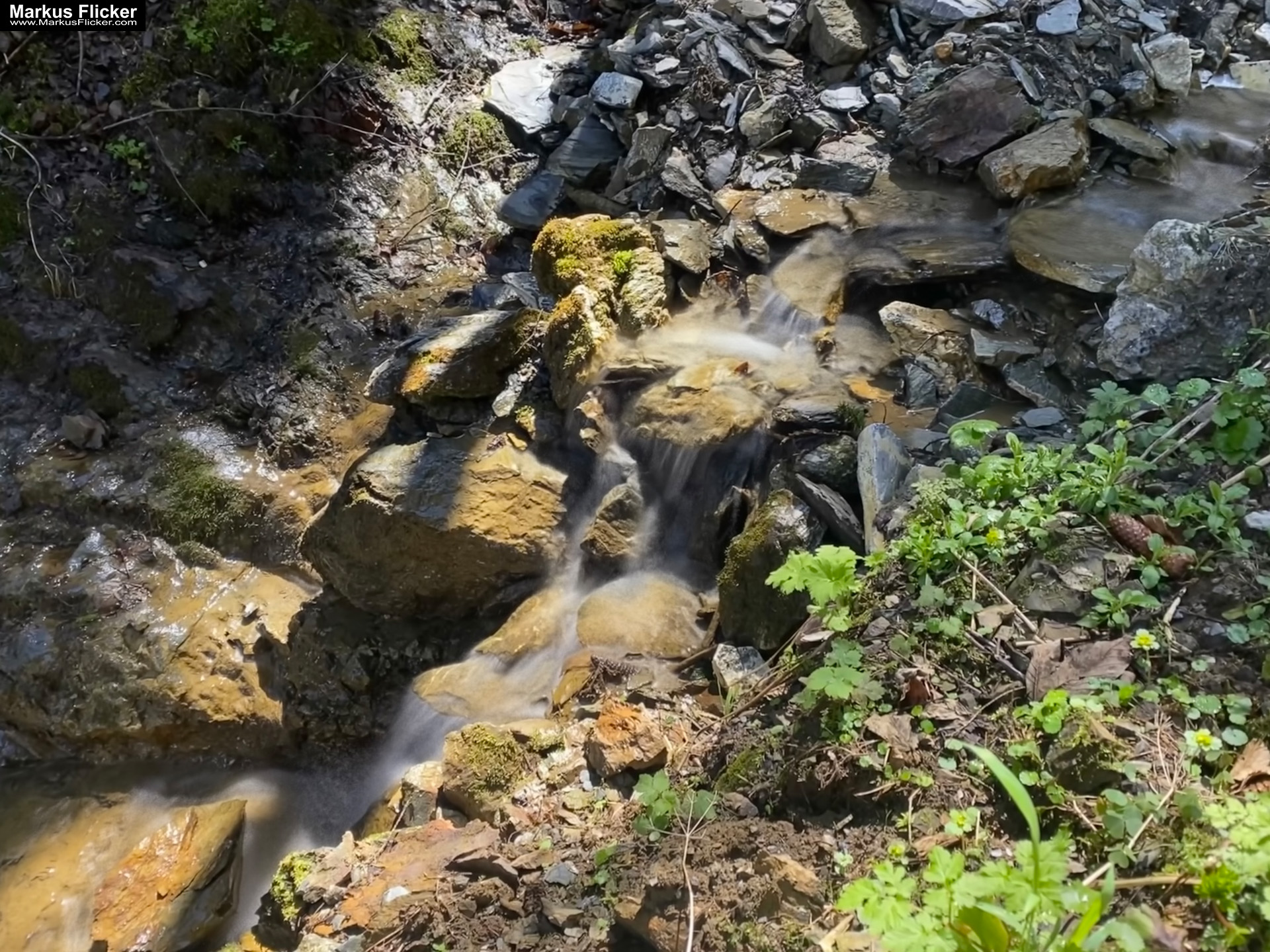 Genieße den wunderschönen Plankogel Rundwanderweg auf der Sommeralm im Almenland Steiermark Österreich bei einem entspannten Spaziergang mit dem Smartphone Genieße den wunderschönen Plankogel Rundwanderweg auf der Sommeralm im Almenland Steiermark Österreich bei einem entspannten Spaziergang mit dem Smartphone