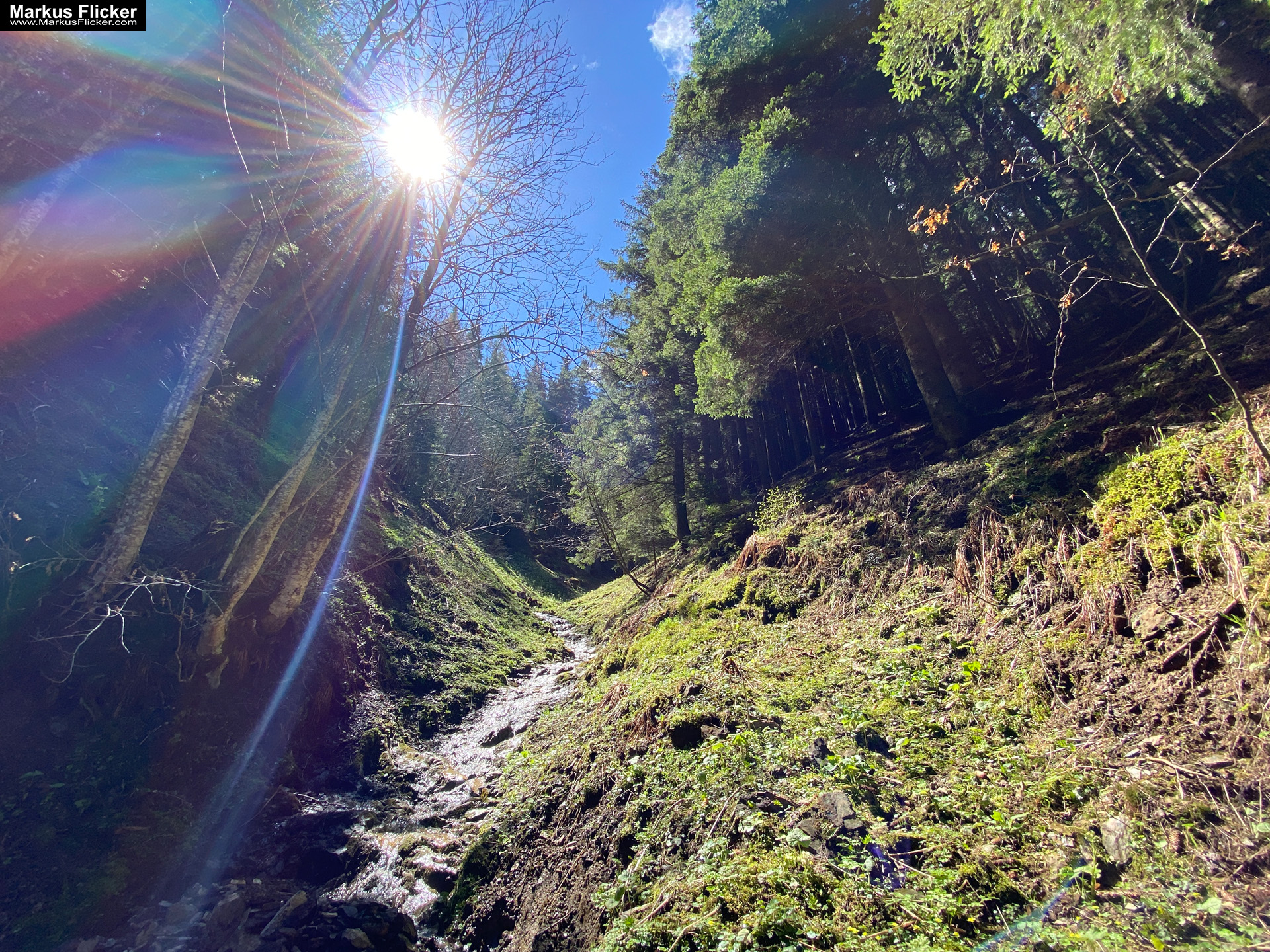 Genieße den wunderschönen Plankogel Rundwanderweg auf der Sommeralm im Almenland Steiermark Österreich bei einem entspannten Spaziergang mit dem Smartphone Genieße den wunderschönen Plankogel Rundwanderweg auf der Sommeralm im Almenland Steiermark Österreich bei einem entspannten Spaziergang mit dem Smartphone