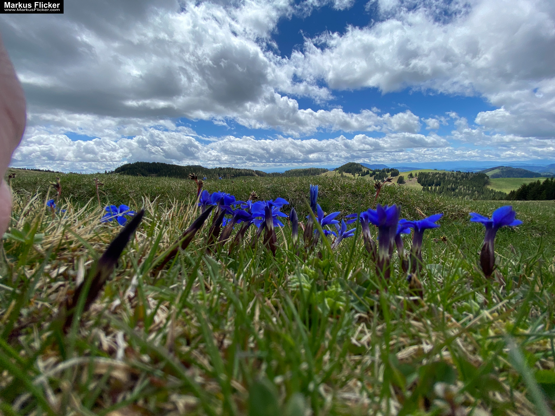 Genieße den wunderschönen Plankogel Rundwanderweg auf der Sommeralm im Almenland Steiermark Österreich bei einem entspannten Spaziergang mit dem Smartphone Genieße den wunderschönen Plankogel Rundwanderweg auf der Sommeralm im Almenland Steiermark Österreich bei einem entspannten Spaziergang mit dem Smartphone