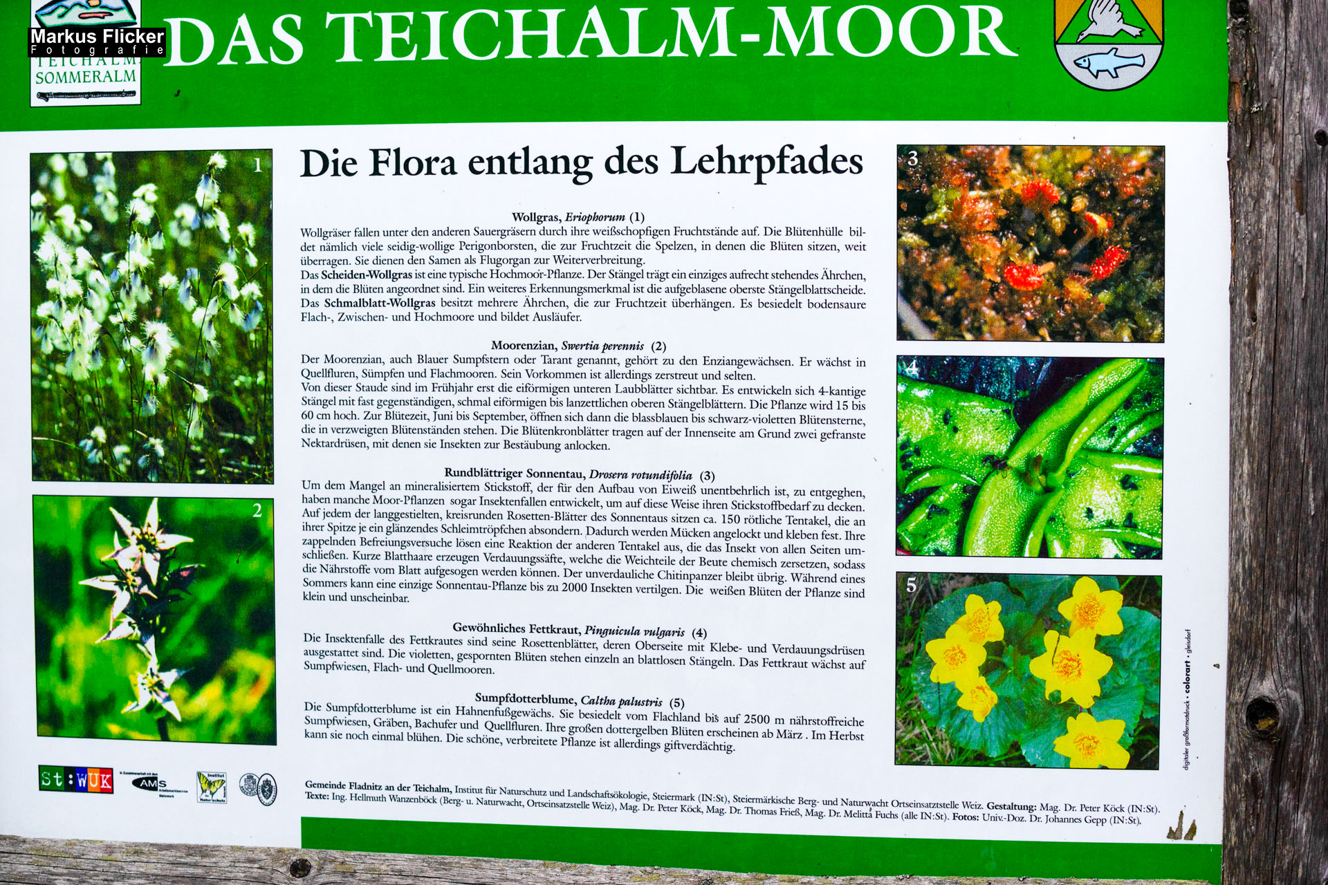 Moorlehrpfad auf der Teichalm Steiermark Almenland Österreich Moorlehrpfad auf der Teichalm Steiermark Almenland