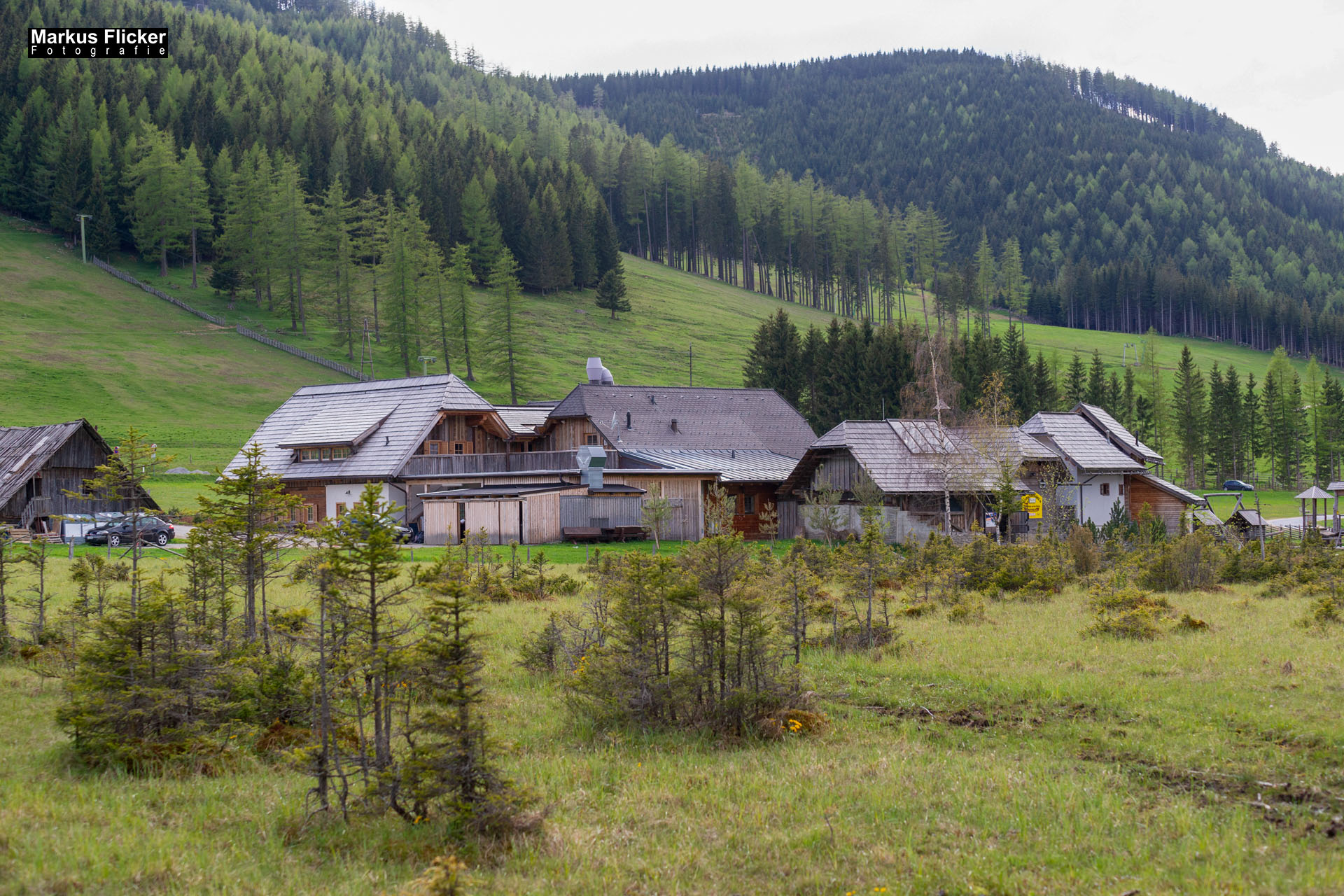 Moorlehrpfad auf der Teichalm Steiermark Almenland Österreich Moorlehrpfad auf der Teichalm Steiermark Almenland