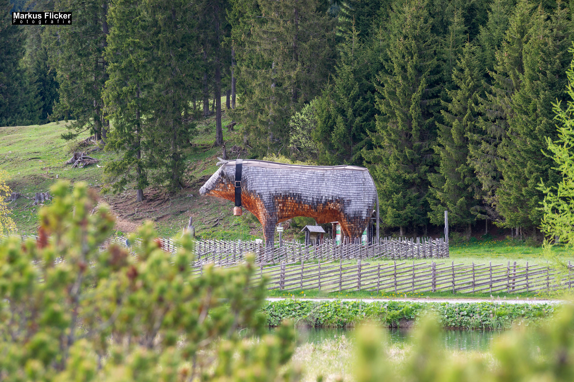 Moorlehrpfad auf der Teichalm Steiermark Almenland Österreich Moorlehrpfad auf der Teichalm Steiermark Almenland
