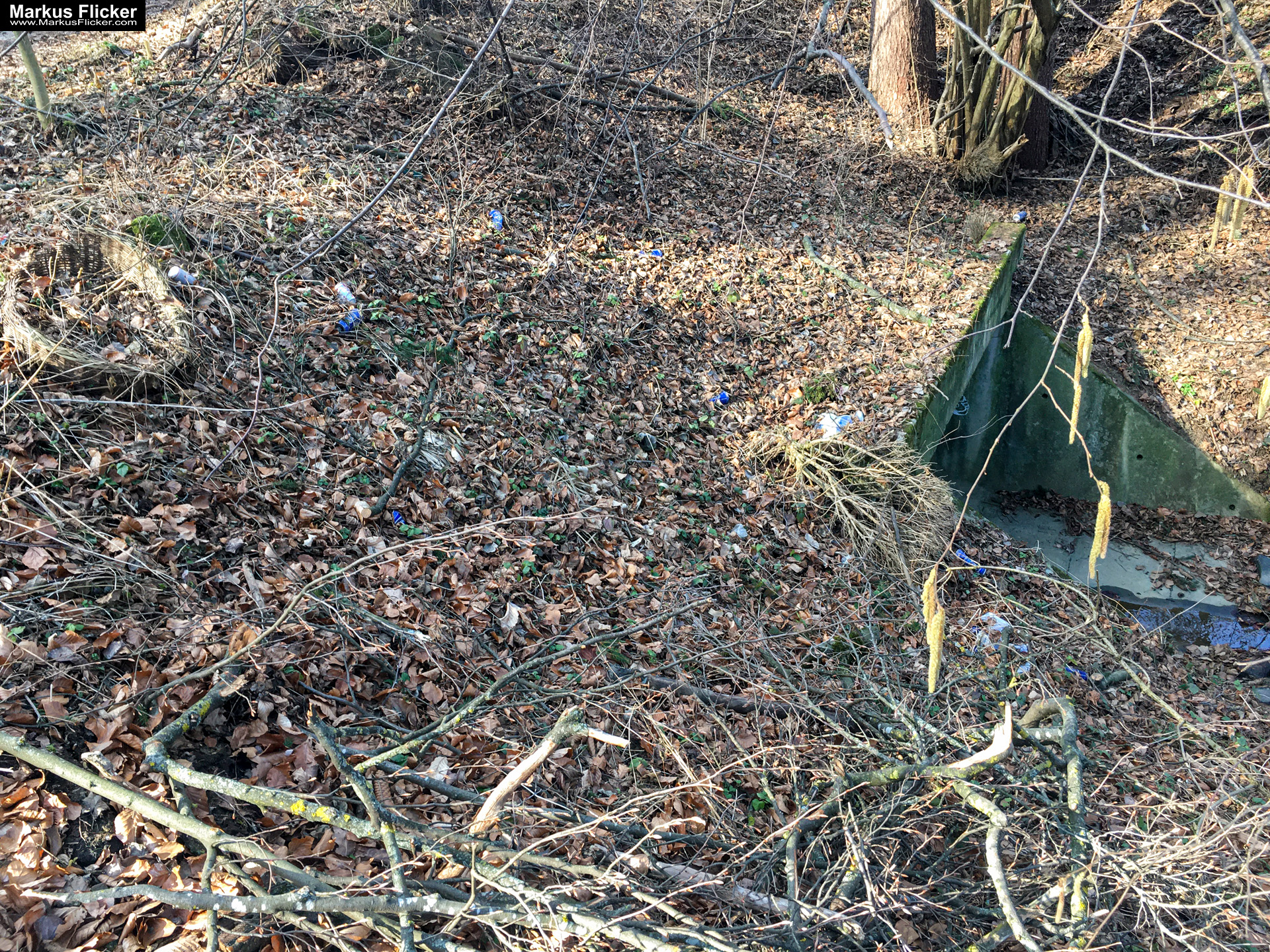 Eine kleine Reise in den eigenen 4 Wänden. Gedankenreise in gewohntem Umfeld. Komfortzone verlassen #GedankenZumLeben Eine kleine Reise in den eigenen 4 Wänden. Ein Spaziergang in meiner direkten Umgebung. Weiz. Steiermark. Reiseblog. Sucher suchen // Finder finden.