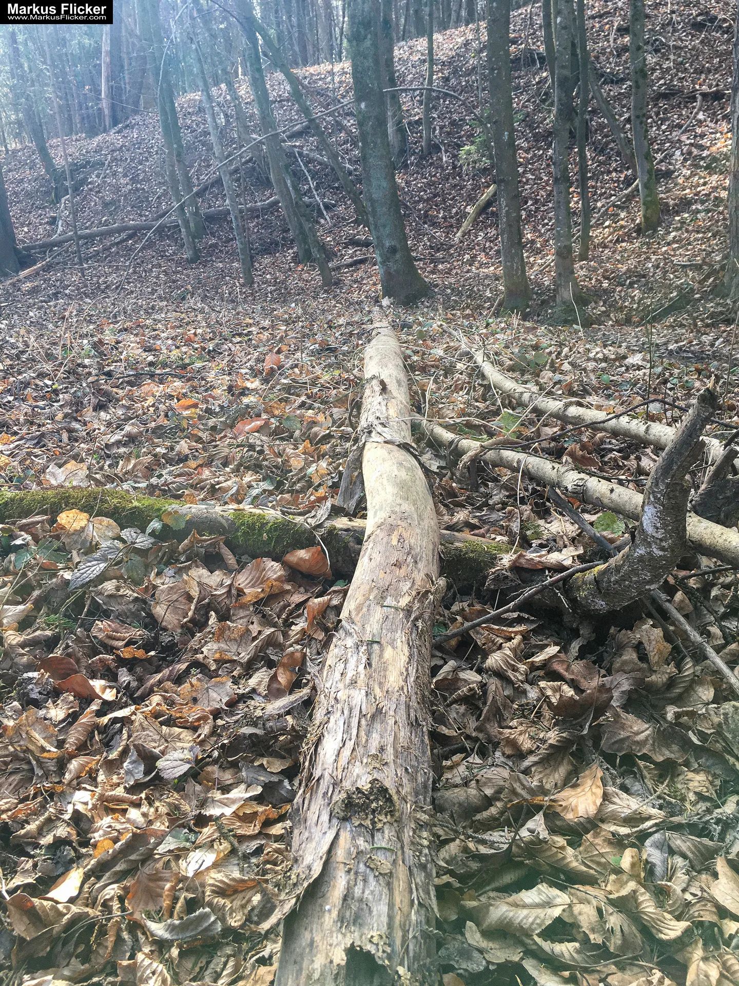 Eine kleine Reise in den eigenen 4 Wänden. Gedankenreise in gewohntem Umfeld. Komfortzone verlassen #GedankenZumLeben Eine kleine Reise in den eigenen 4 Wänden. Ein Spaziergang in meiner direkten Umgebung. Weiz. Steiermark. Reiseblog. Sucher suchen // Finder finden.