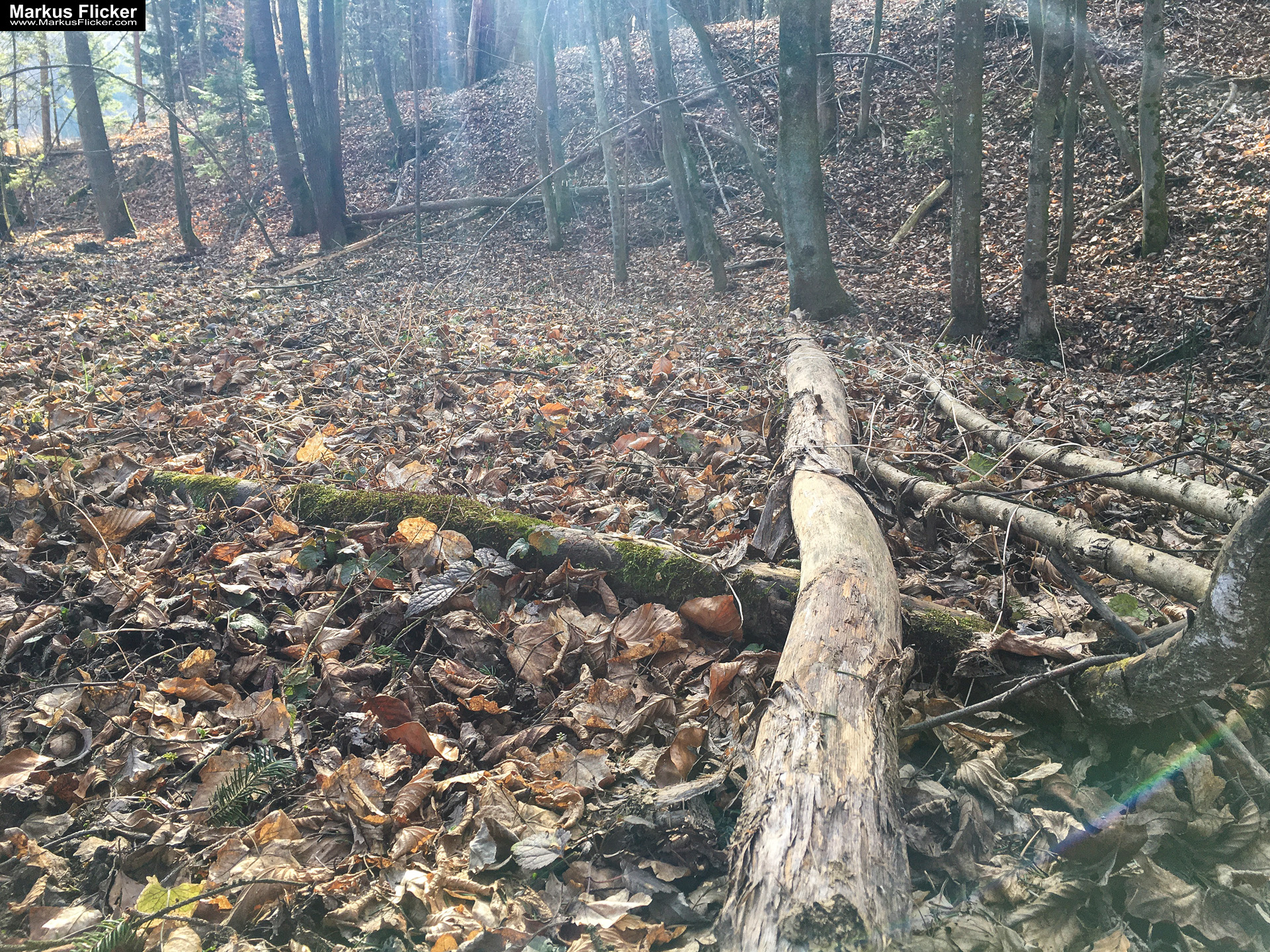 Eine kleine Reise in den eigenen 4 Wänden. Gedankenreise in gewohntem Umfeld. Komfortzone verlassen #GedankenZumLeben Eine kleine Reise in den eigenen 4 Wänden. Ein Spaziergang in meiner direkten Umgebung. Weiz. Steiermark. Reiseblog. Sucher suchen // Finder finden.