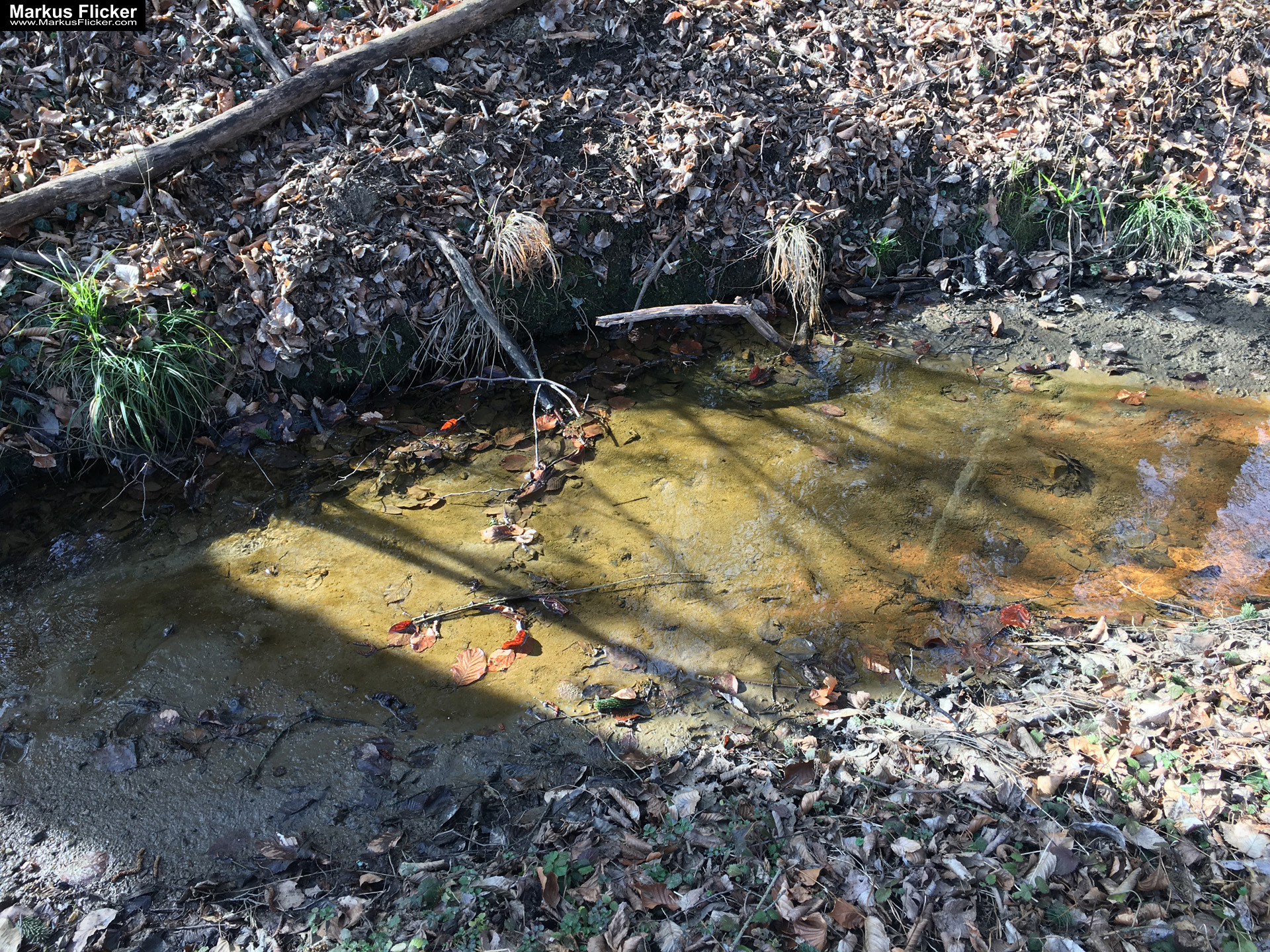 Eine kleine Reise in den eigenen 4 Wänden. Gedankenreise in gewohntem Umfeld. Komfortzone verlassen #GedankenZumLeben Eine kleine Reise in den eigenen 4 Wänden. Ein Spaziergang in meiner direkten Umgebung. Weiz. Steiermark. Reiseblog. Sucher suchen // Finder finden.