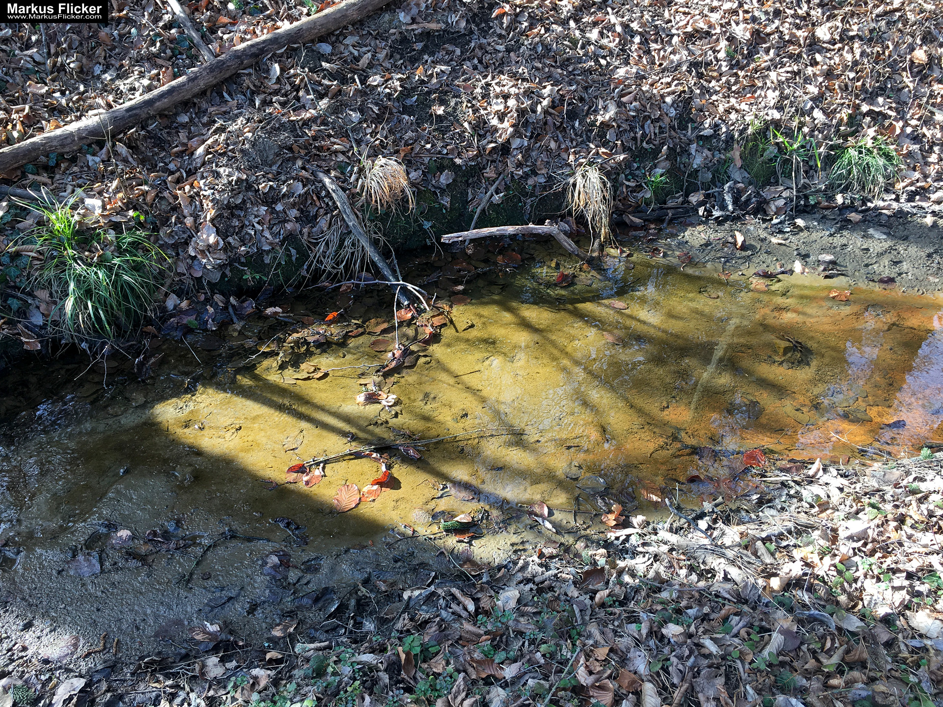 Eine kleine Reise in den eigenen 4 Wänden. Gedankenreise in gewohntem Umfeld. Komfortzone verlassen #GedankenZumLeben Eine kleine Reise in den eigenen 4 Wänden. Ein Spaziergang in meiner direkten Umgebung. Weiz. Steiermark. Reiseblog. Sucher suchen // Finder finden.