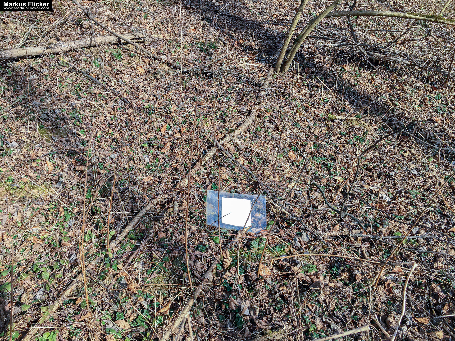 Eine kleine Reise in den eigenen 4 Wänden. Gedankenreise in gewohntem Umfeld. Komfortzone verlassen #GedankenZumLeben Eine kleine Reise in den eigenen 4 Wänden. Ein Spaziergang in meiner direkten Umgebung. Weiz. Steiermark. Reiseblog. Sucher suchen // Finder finden.