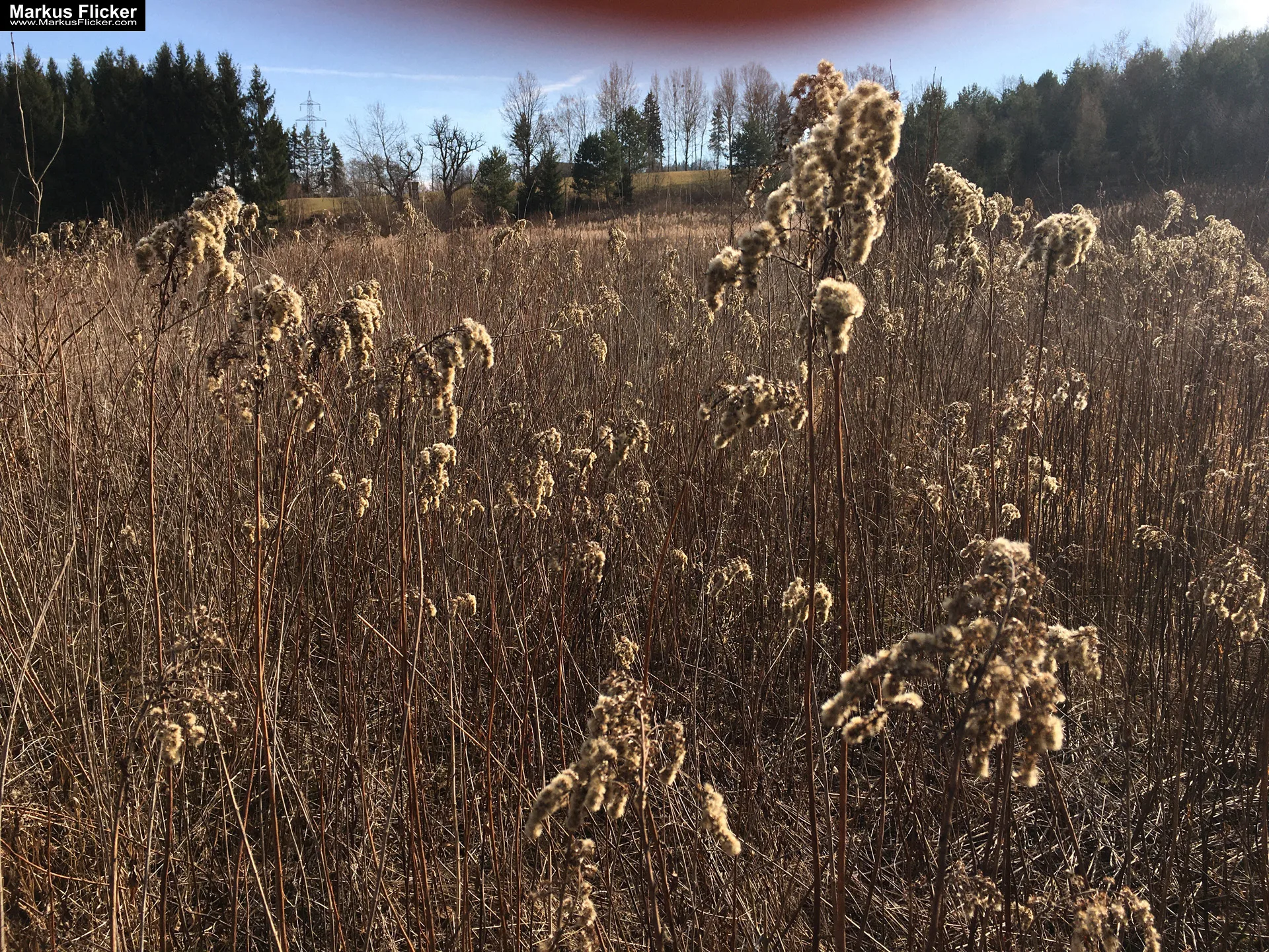 Eine kleine Reise in den eigenen 4 Wänden. Gedankenreise in gewohntem Umfeld. Komfortzone verlassen #GedankenZumLeben Eine kleine Reise in den eigenen 4 Wänden. Ein Spaziergang in meiner direkten Umgebung. Weiz. Steiermark. Reiseblog. Sucher suchen // Finder finden.