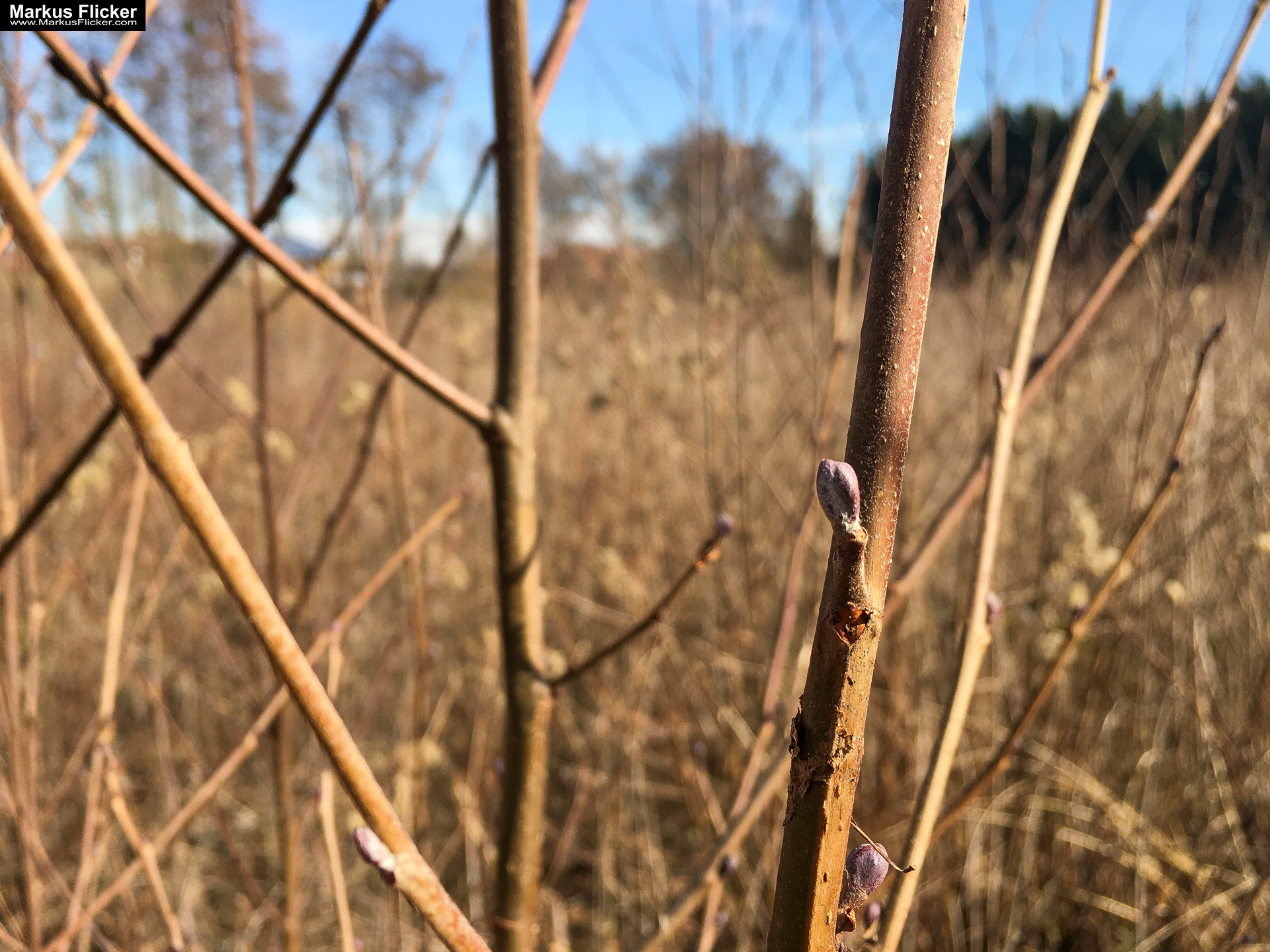 Eine kleine Reise in den eigenen 4 Wänden. Gedankenreise in gewohntem Umfeld. Komfortzone verlassen #GedankenZumLeben Eine kleine Reise in den eigenen 4 Wänden. Ein Spaziergang in meiner direkten Umgebung. Weiz. Steiermark. Reiseblog. Sucher suchen // Finder finden.