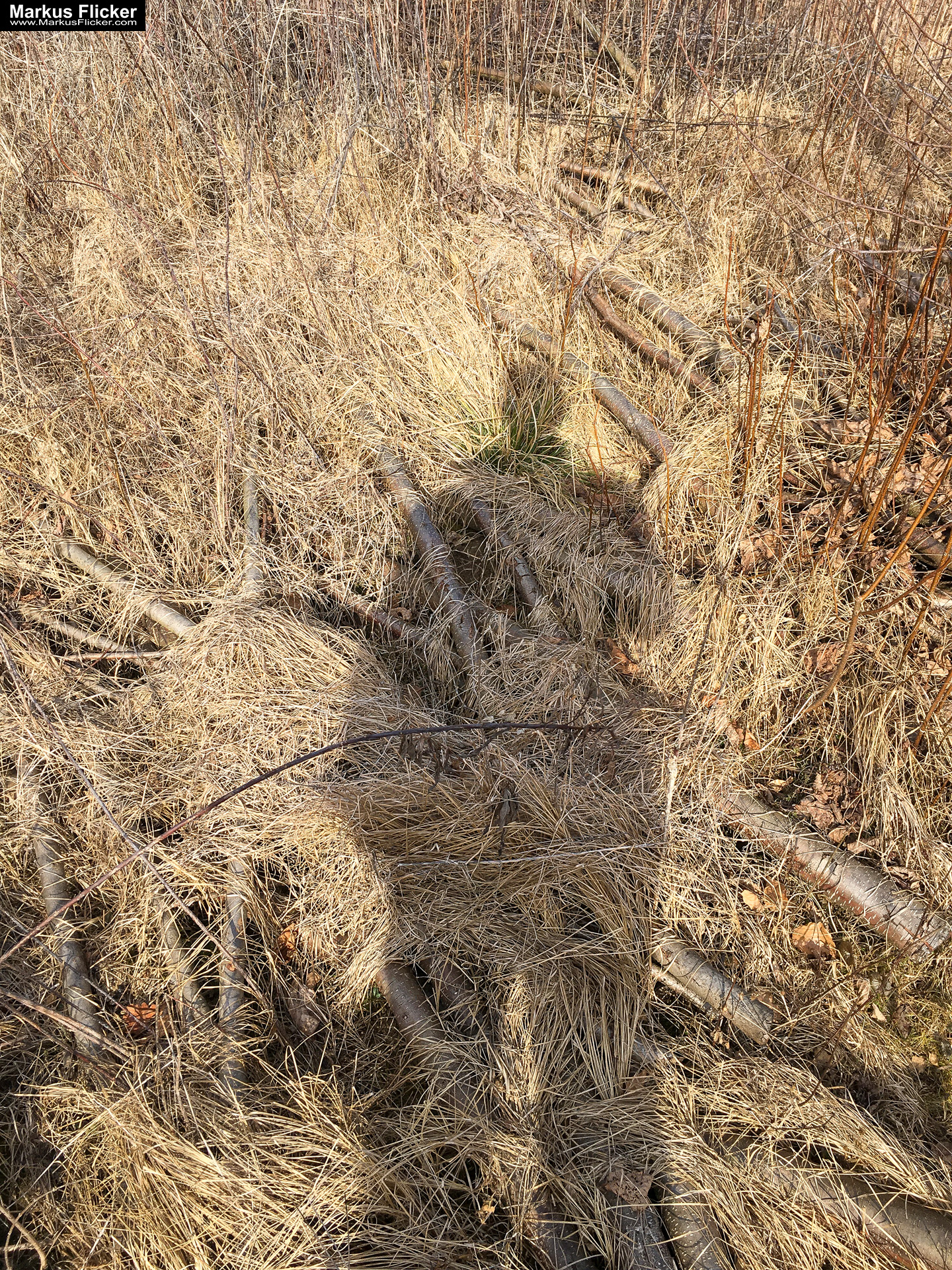 Eine kleine Reise in den eigenen 4 Wänden. Gedankenreise in gewohntem Umfeld. Komfortzone verlassen #GedankenZumLeben Eine kleine Reise in den eigenen 4 Wänden. Gedankenreise in gewohntem Umfeld. Komfortzone verlassen #GedankenZumLeben