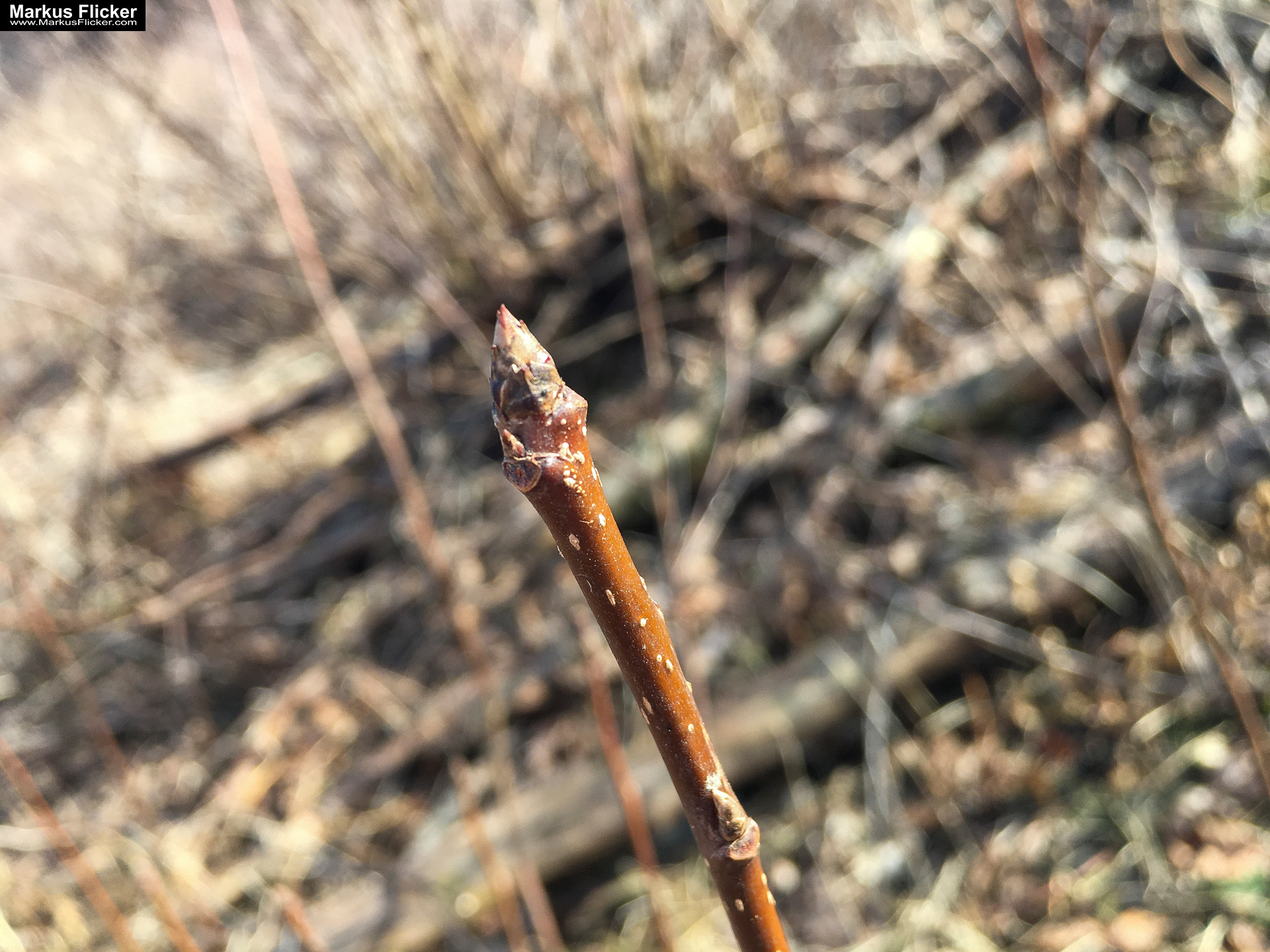 Eine kleine Reise in den eigenen 4 Wänden. Gedankenreise in gewohntem Umfeld. Komfortzone verlassen #GedankenZumLeben Eine kleine Reise in den eigenen 4 Wänden. Ein Spaziergang in meiner direkten Umgebung. Weiz. Steiermark. Reiseblog. Sucher suchen // Finder finden.