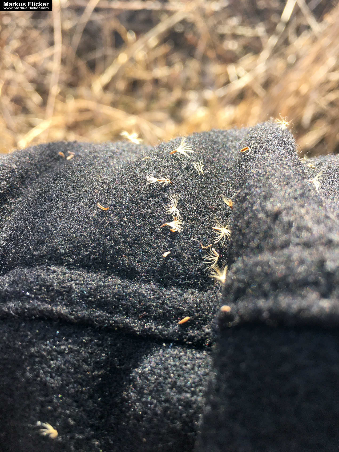 Eine kleine Reise in den eigenen 4 Wänden. Gedankenreise in gewohntem Umfeld. Komfortzone verlassen #GedankenZumLeben Eine kleine Reise in den eigenen 4 Wänden. Ein Spaziergang in meiner direkten Umgebung. Weiz. Steiermark. Reiseblog. Sucher suchen // Finder finden.