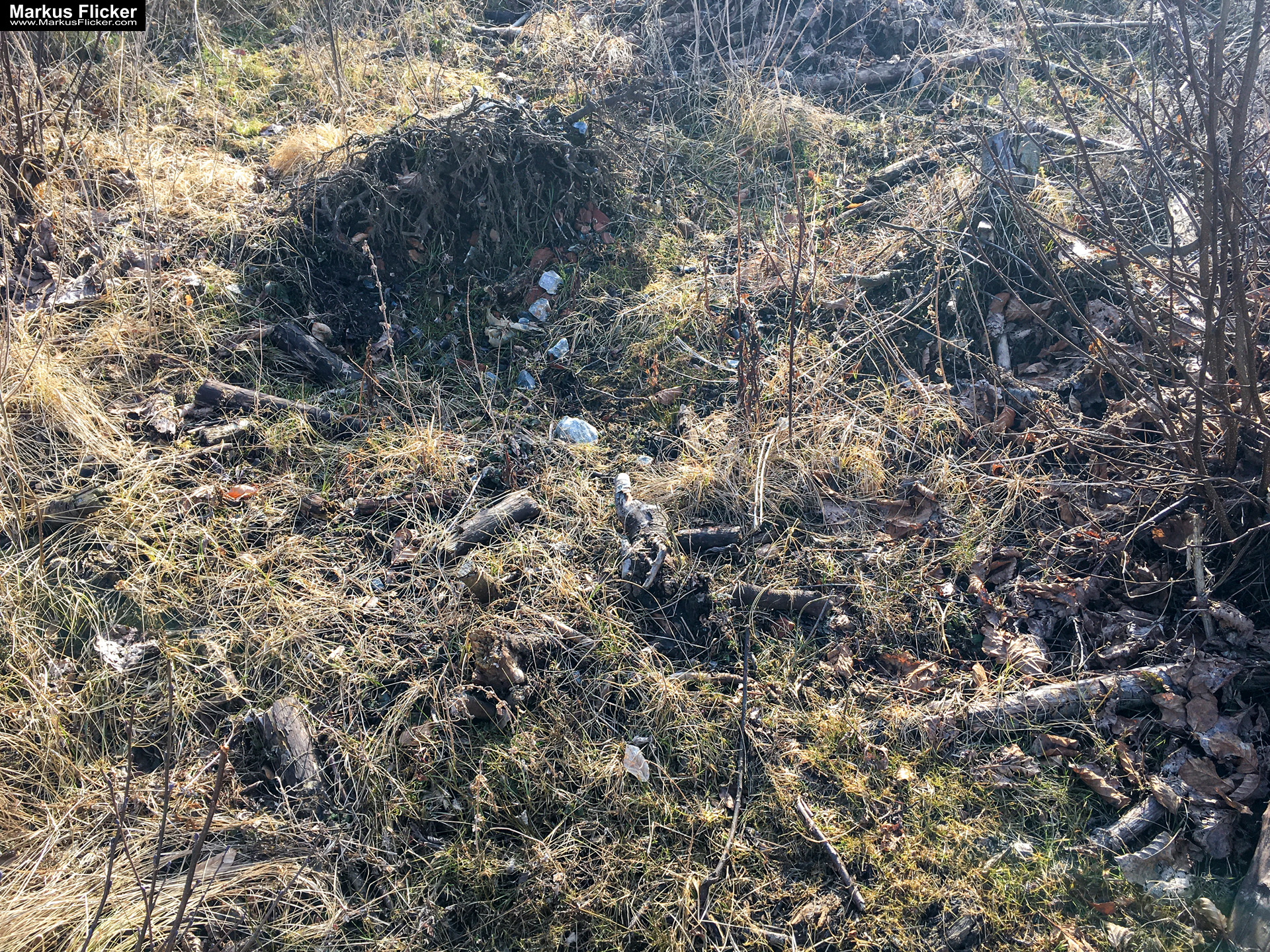 Eine kleine Reise in den eigenen 4 Wänden. Gedankenreise in gewohntem Umfeld. Komfortzone verlassen #GedankenZumLeben Eine kleine Reise in den eigenen 4 Wänden. Ein Spaziergang in meiner direkten Umgebung. Weiz. Steiermark. Reiseblog. Sucher suchen // Finder finden.