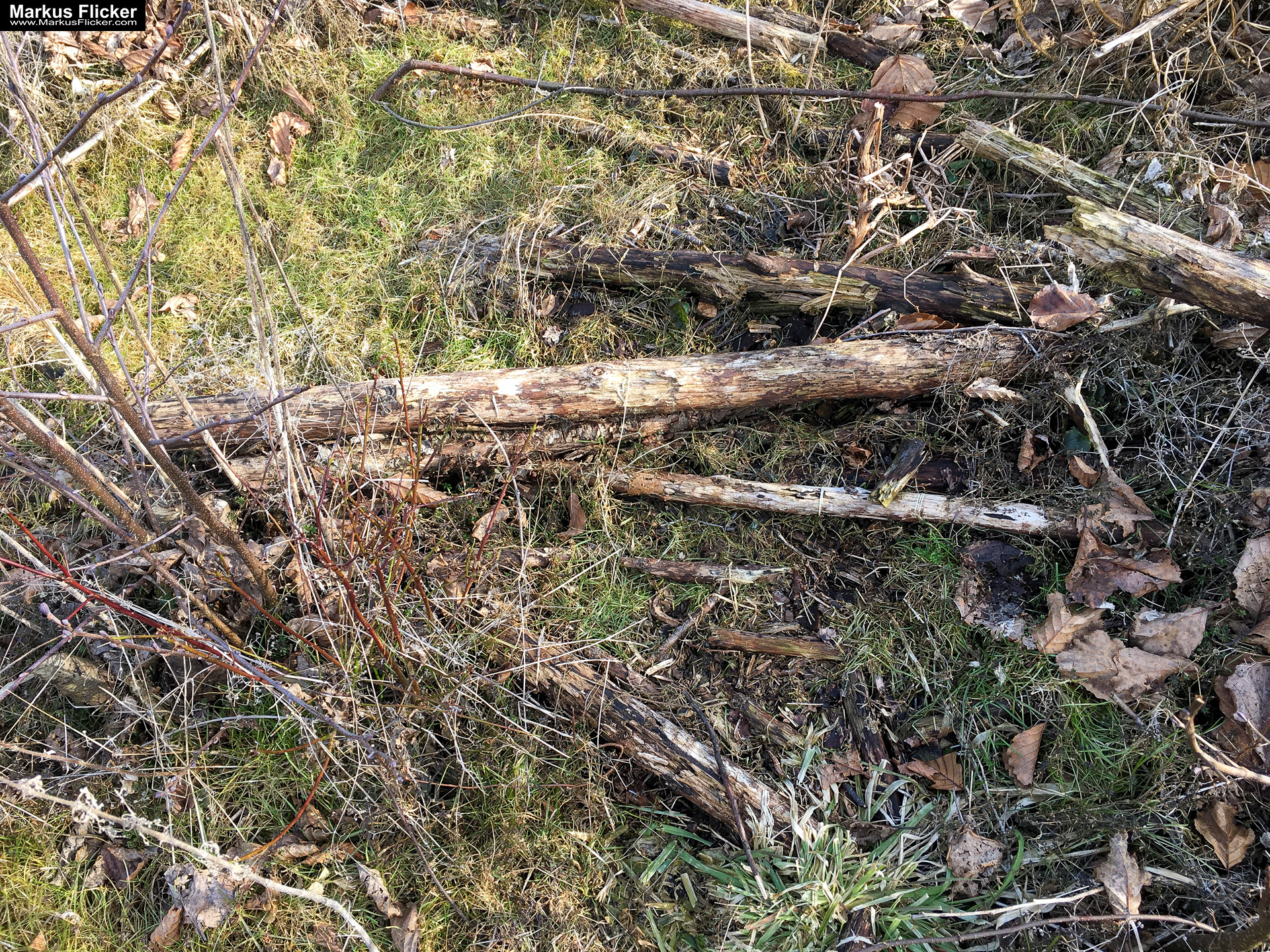 Eine kleine Reise in den eigenen 4 Wänden. Gedankenreise in gewohntem Umfeld. Komfortzone verlassen #GedankenZumLeben Eine kleine Reise in den eigenen 4 Wänden. Gedankenreise in gewohntem Umfeld. Komfortzone verlassen #GedankenZumLeben