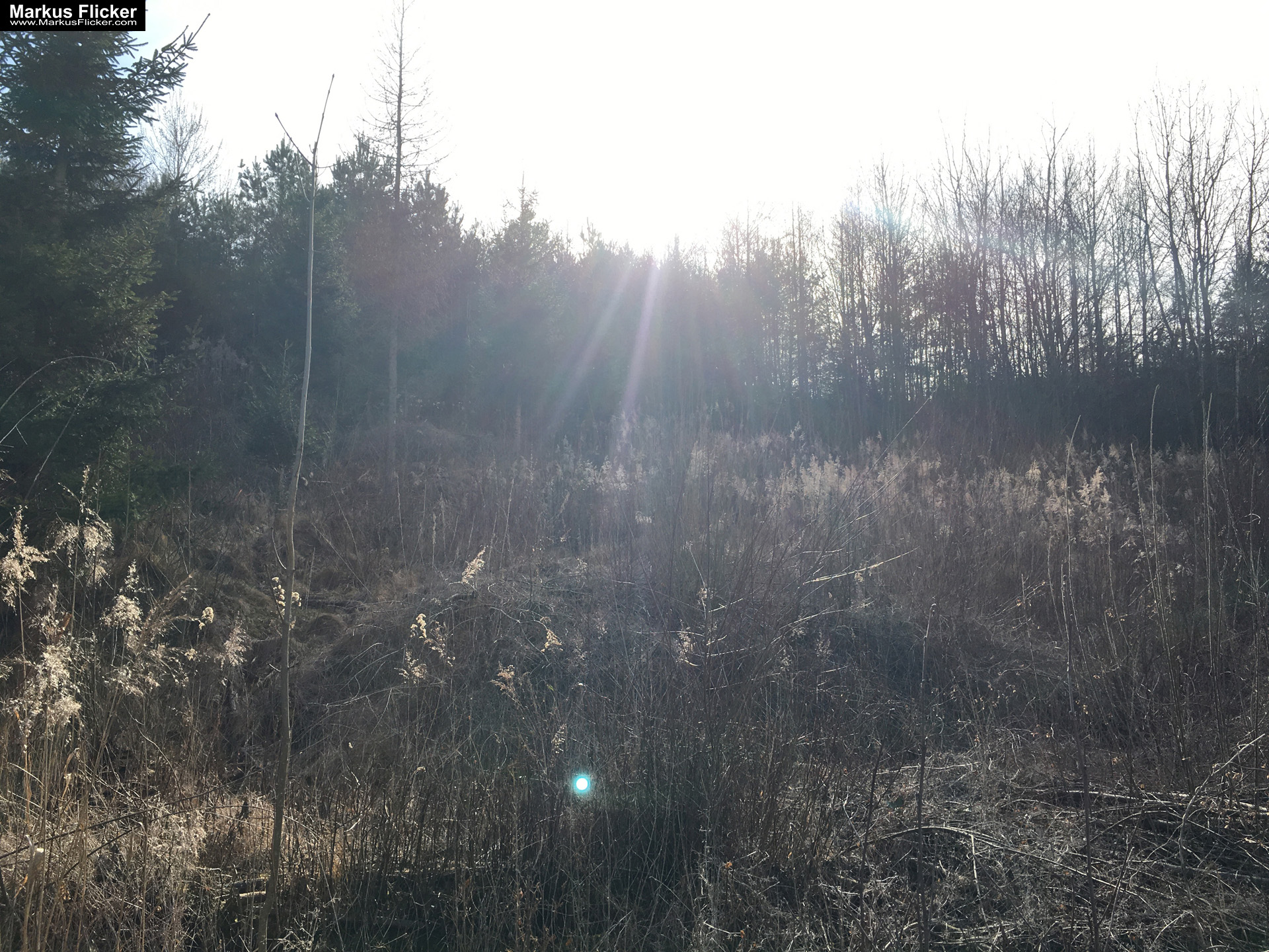 Eine kleine Reise in den eigenen 4 Wänden. Gedankenreise in gewohntem Umfeld. Komfortzone verlassen #GedankenZumLeben Eine kleine Reise in den eigenen 4 Wänden. Ein Spaziergang in meiner direkten Umgebung. Weiz. Steiermark. Reiseblog. Sucher suchen // Finder finden.