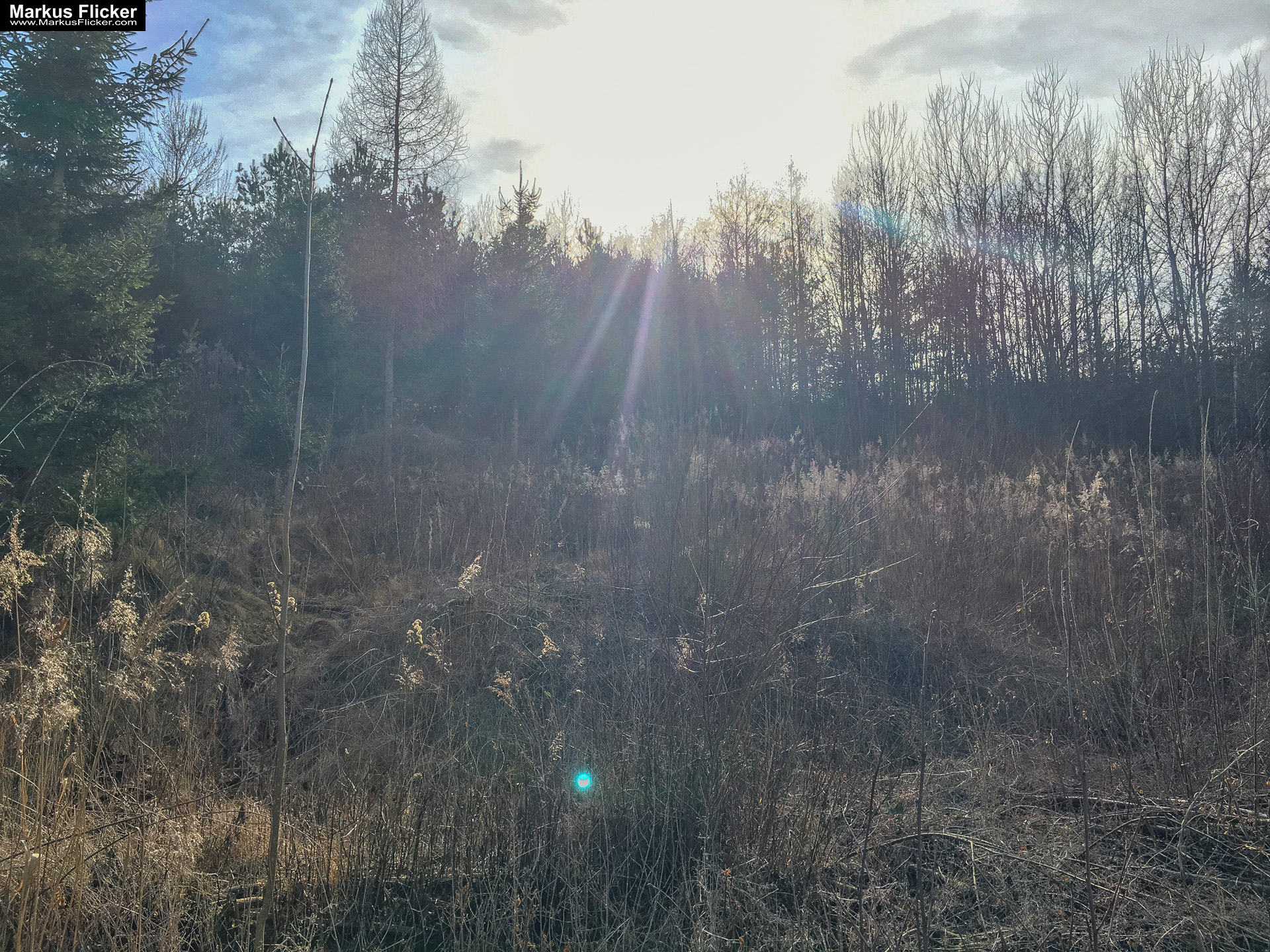 Eine kleine Reise in den eigenen 4 Wänden. Gedankenreise in gewohntem Umfeld. Komfortzone verlassen #GedankenZumLeben Eine kleine Reise in den eigenen 4 Wänden. Ein Spaziergang in meiner direkten Umgebung. Weiz. Steiermark. Reiseblog. Sucher suchen // Finder finden.