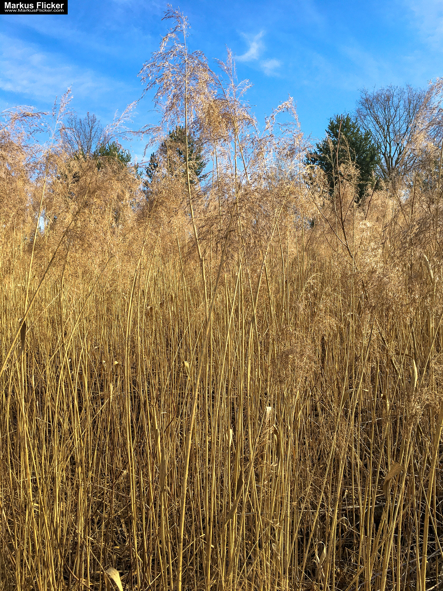 Eine kleine Reise in den eigenen 4 Wänden. Gedankenreise in gewohntem Umfeld. Komfortzone verlassen #GedankenZumLeben Eine kleine Reise in den eigenen 4 Wänden. Ein Spaziergang in meiner direkten Umgebung. Weiz. Steiermark. Reiseblog. Sucher suchen // Finder finden.