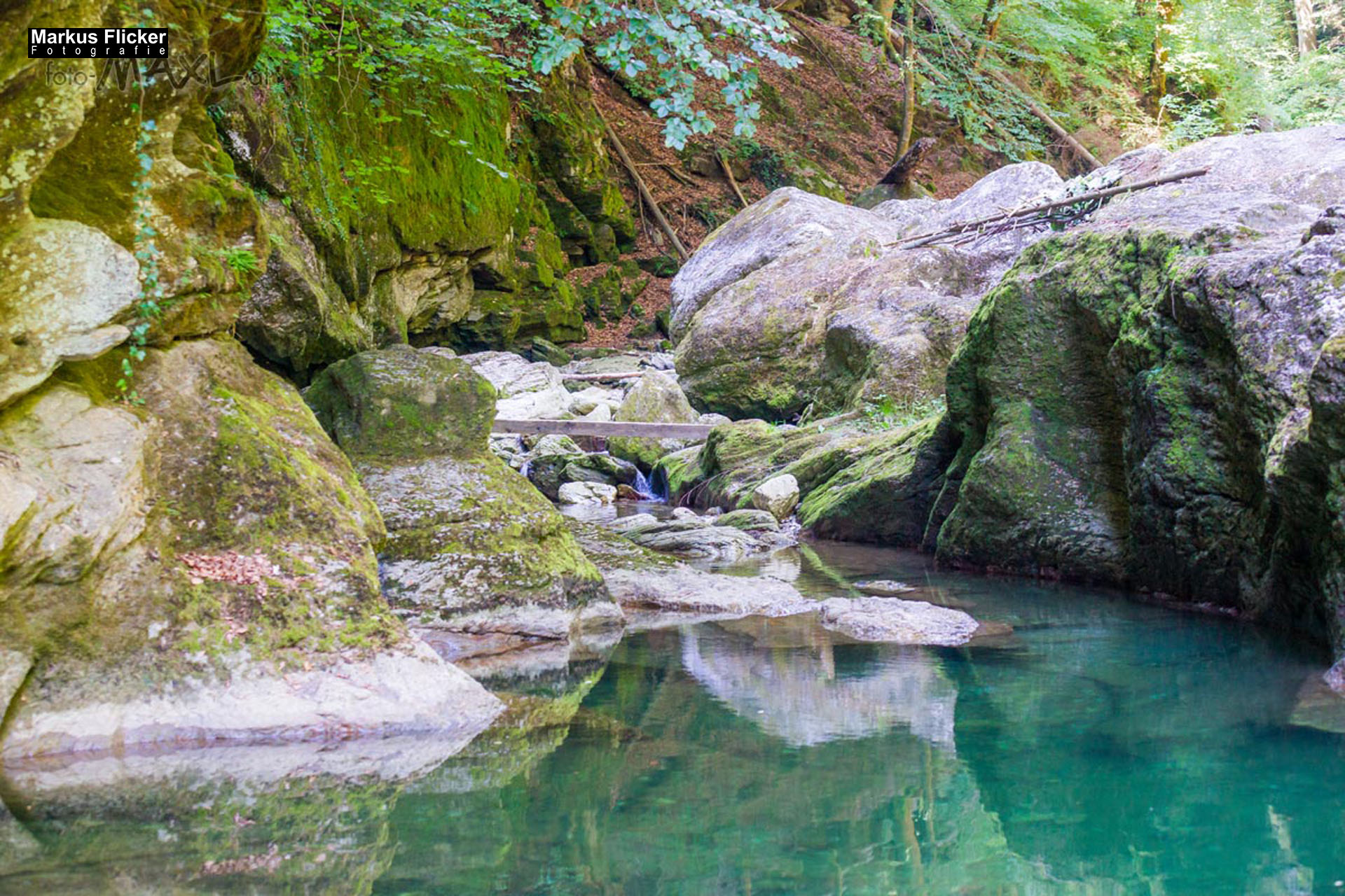 Die Raabklamm Raab Raabtal in der Steiermark