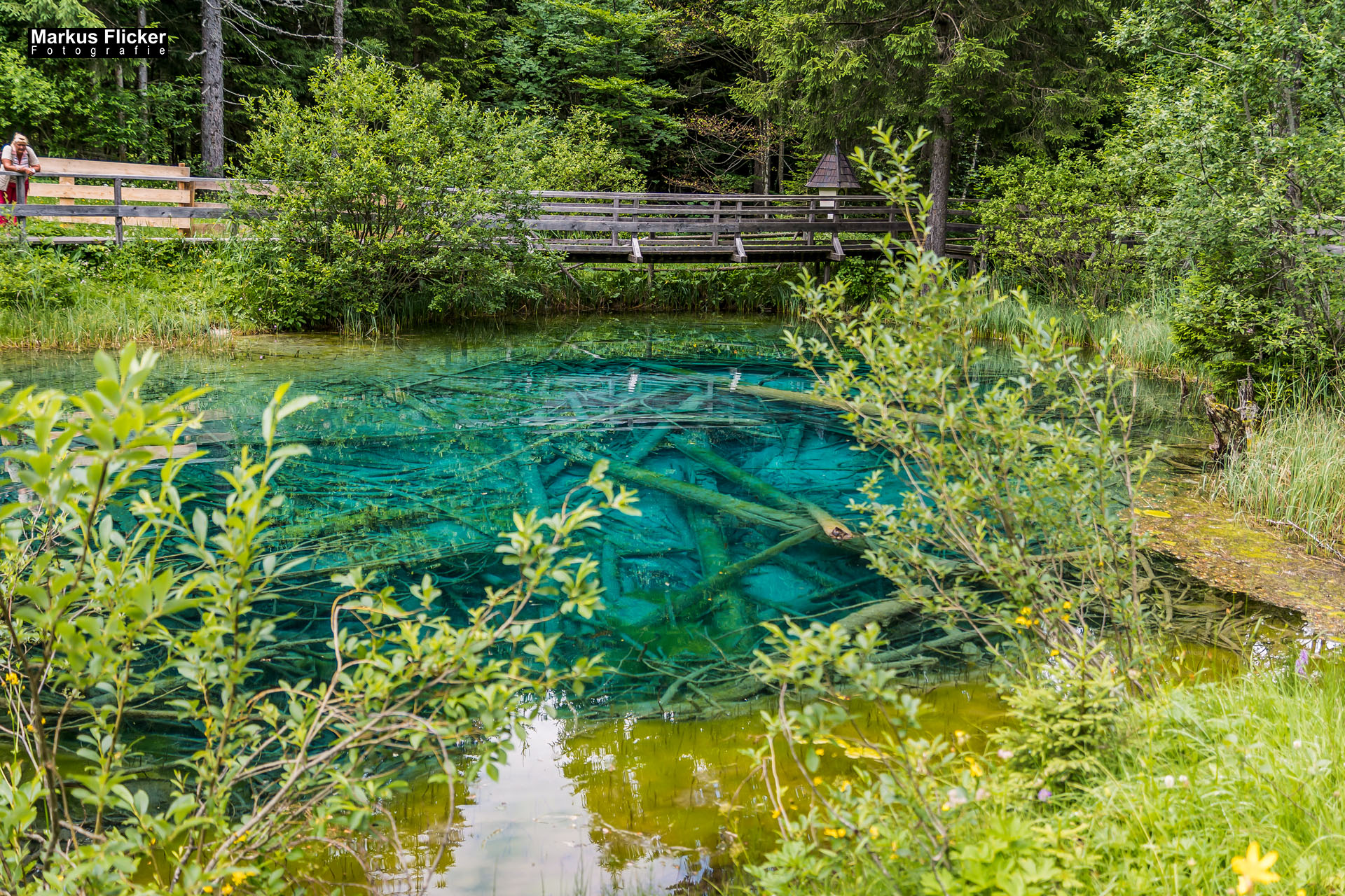 Meerauge im Bodental Kärnten Österreich Meerauge im Bodental Kärnten Österreich