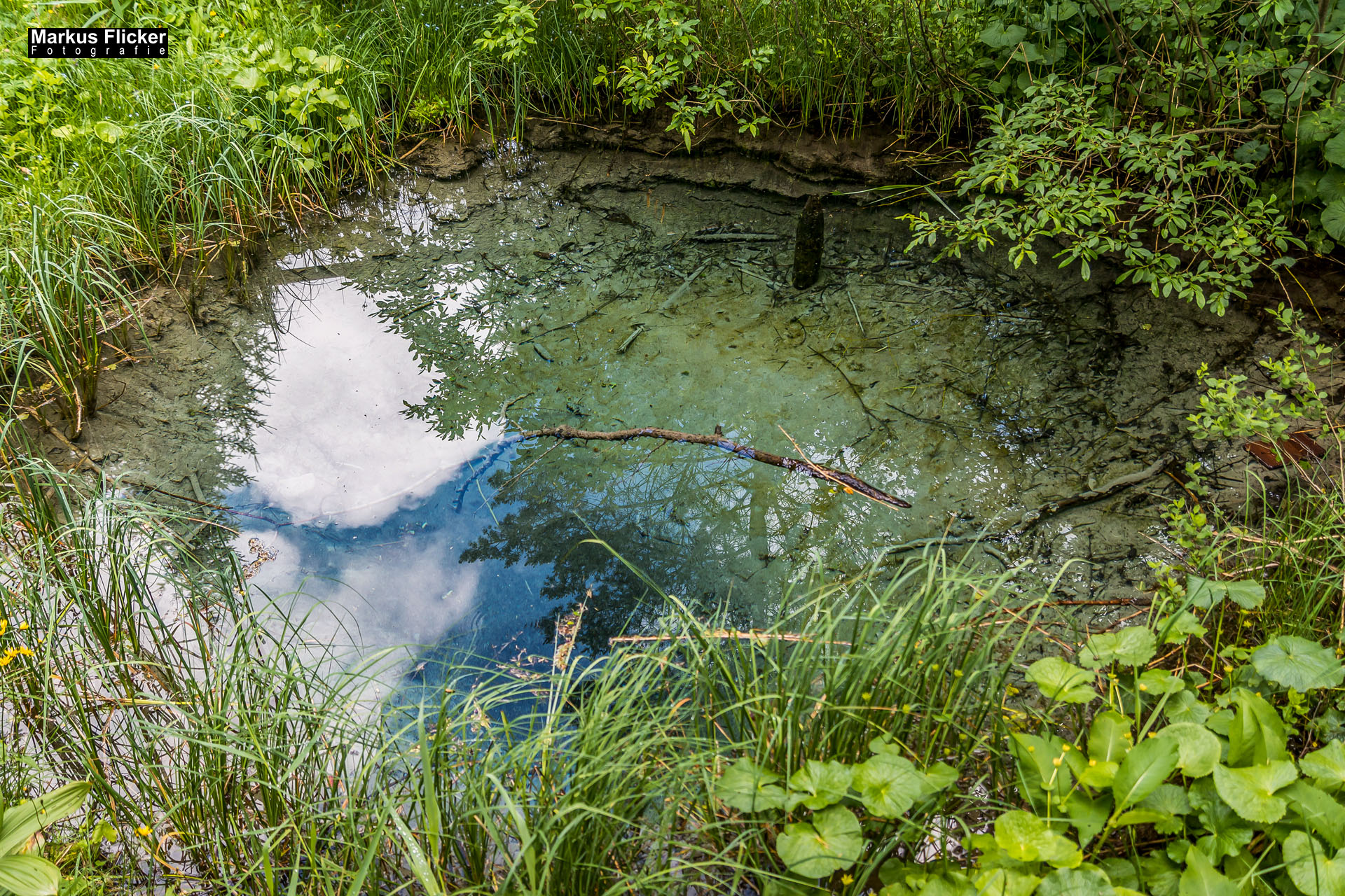 Meerauge im Bodental Kärnten Österreich Meerauge im Bodental / Kärnten