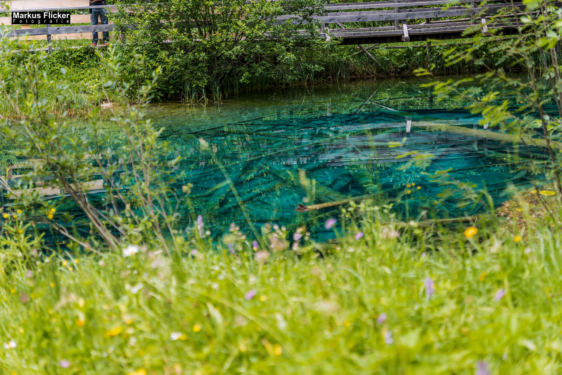 Meerauge im Bodental Kärnten Österreich Meerauge im Bodental / Kärnten