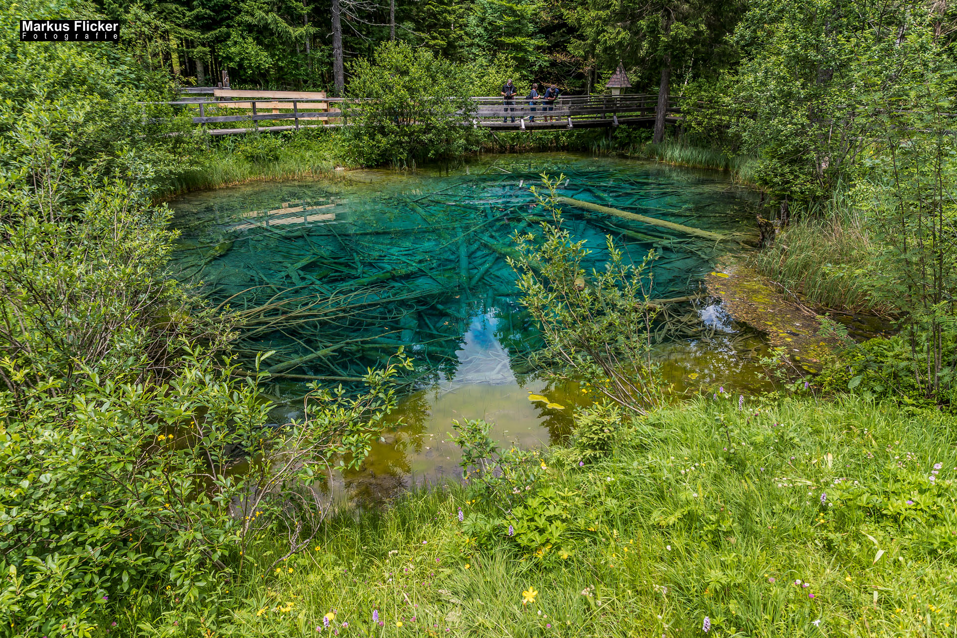 Meerauge im Bodental Kärnten Österreich Meerauge im Bodental / Kärnten
