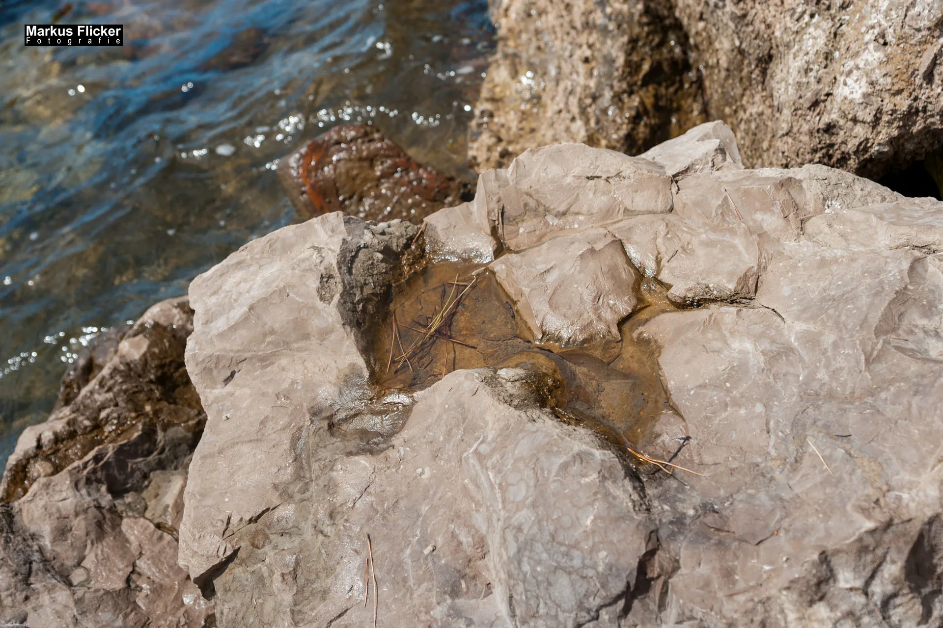 Portorož Slowenien Der charmante Hafen der Rose an der slowenischen Adria Portorož, der Hafen der Rose in Slowenien