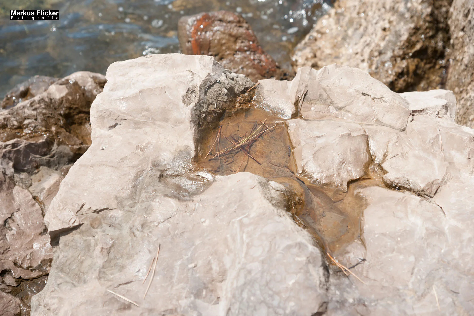 Portorož Slowenien Der charmante Hafen der Rose an der slowenischen Adria Portorož, der Hafen der Rose in Slowenien