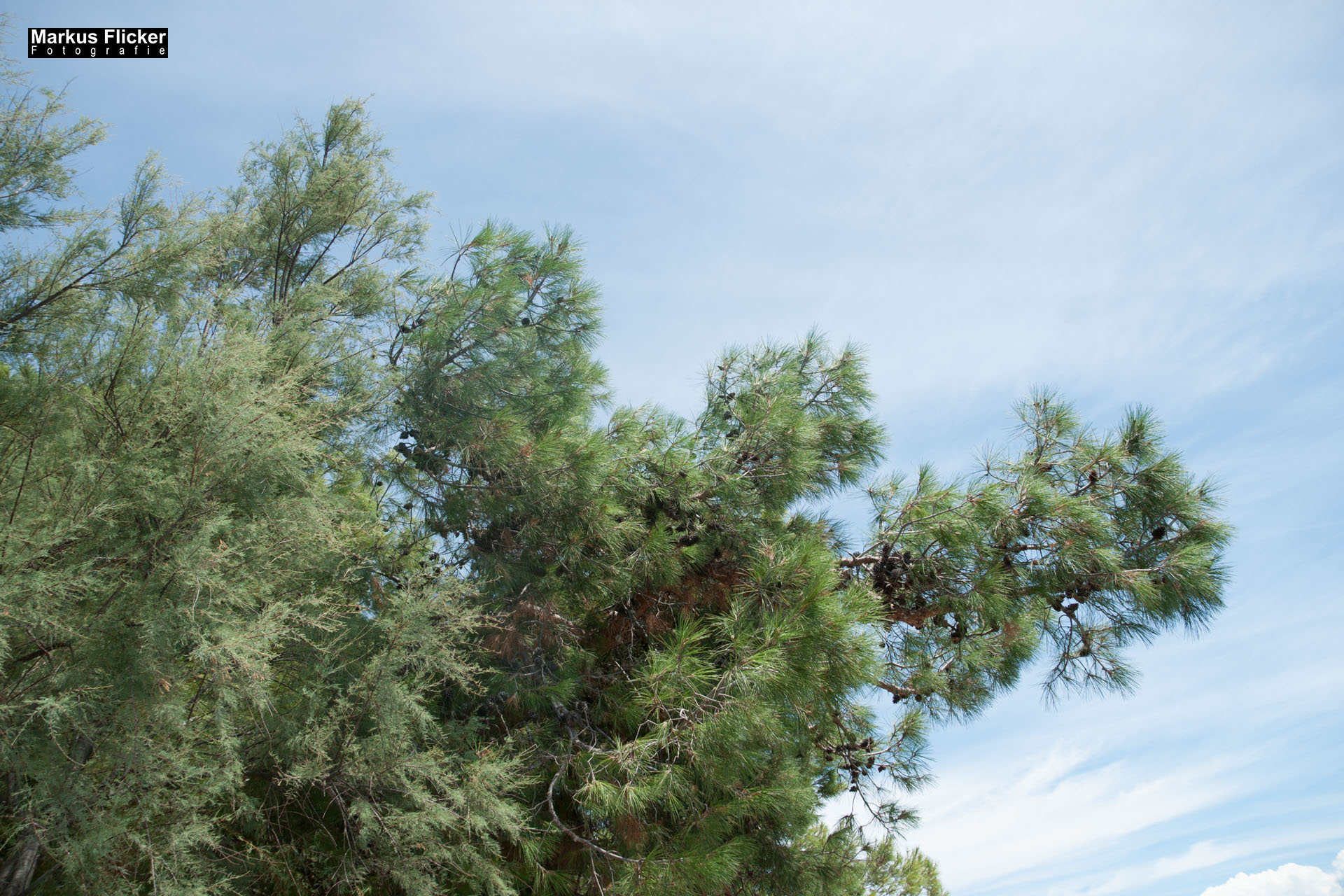 Portorož Slowenien Der charmante Hafen der Rose an der slowenischen Adria Portorož, der Hafen der Rose in Slowenien