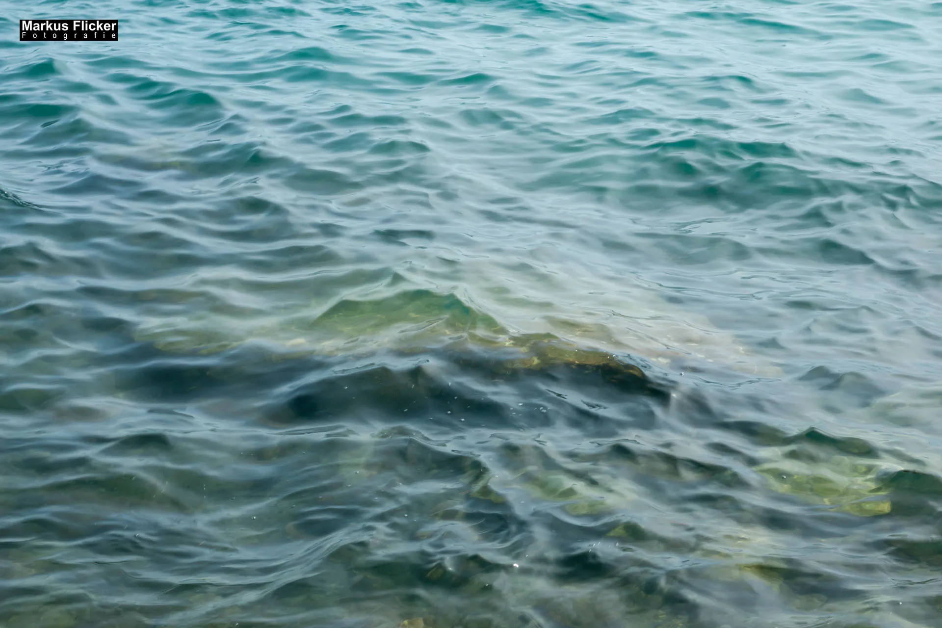 Portorož Slowenien Der charmante Hafen der Rose an der slowenischen Adria Portorož, der Hafen der Rose in Slowenien