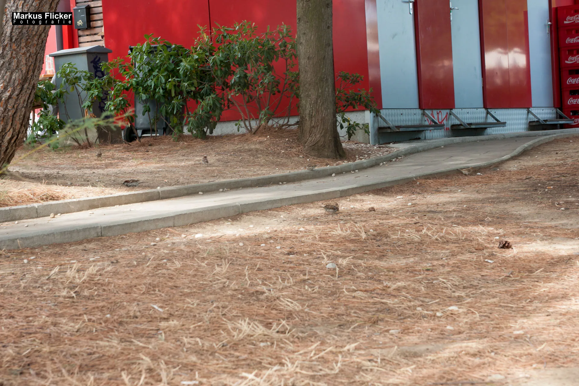 Portorož Slowenien Der charmante Hafen der Rose an der slowenischen Adria Portorož, der Hafen der Rose in Slowenien