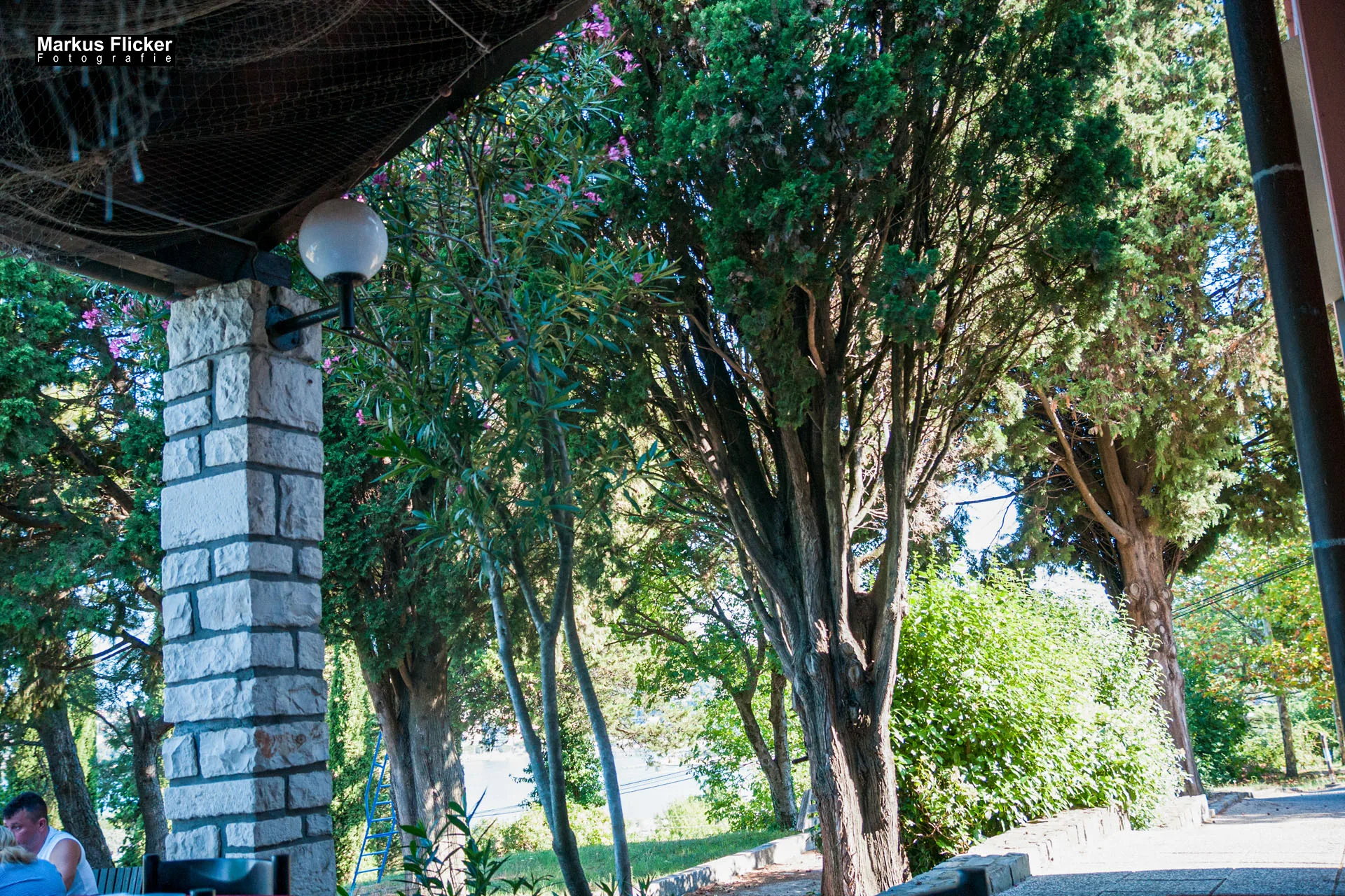 Portorož Slowenien Der charmante Hafen der Rose an der slowenischen Adria Portorož, der Hafen der Rose in Slowenien