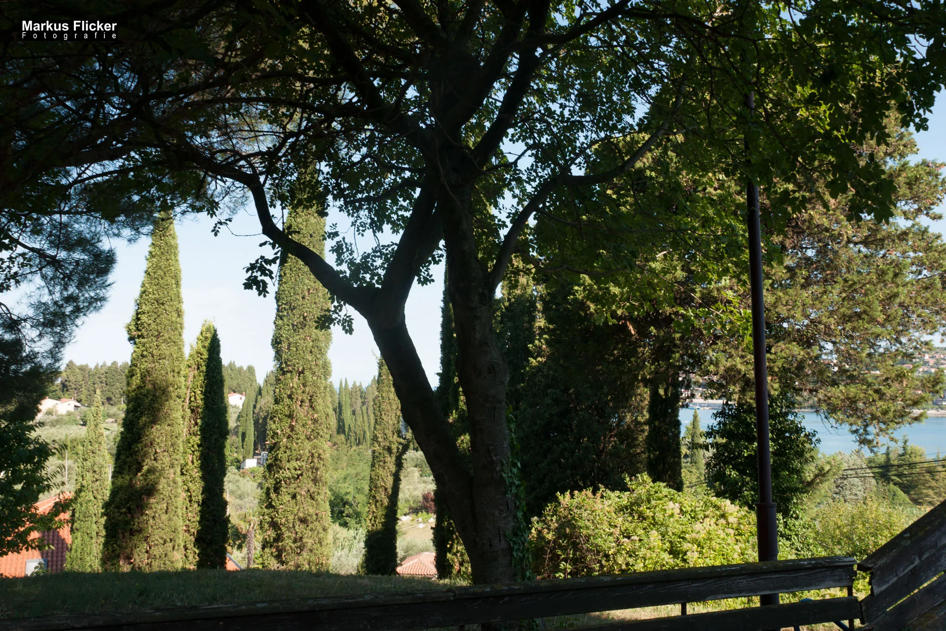 Portorož Slowenien Der charmante Hafen der Rose an der slowenischen Adria Portorož, der Hafen der Rose in Slowenien