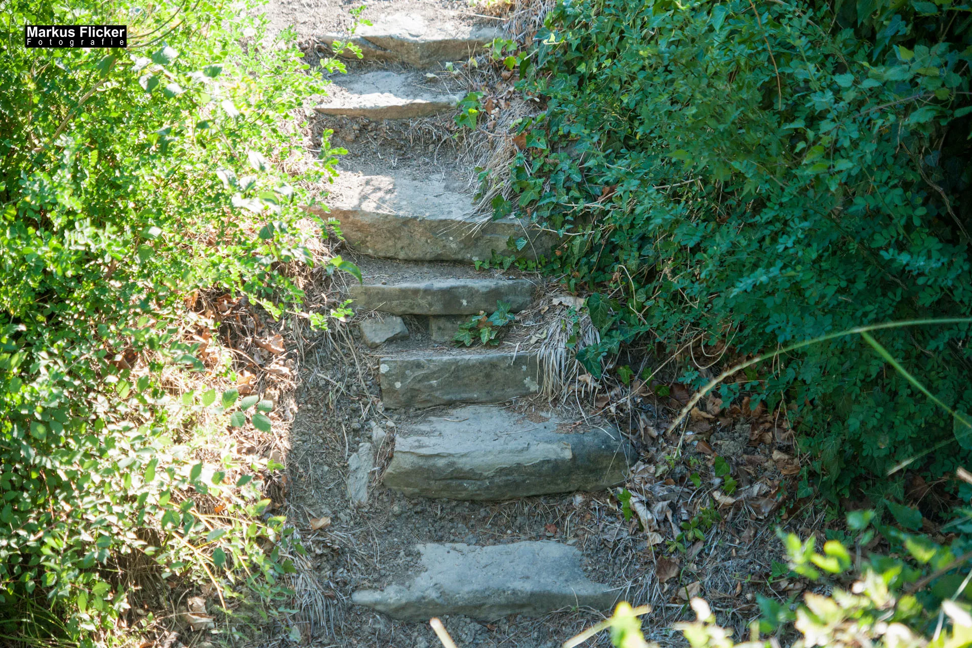 Portorož Slowenien Der charmante Hafen der Rose an der slowenischen Adria Portorož, der Hafen der Rose in Slowenien