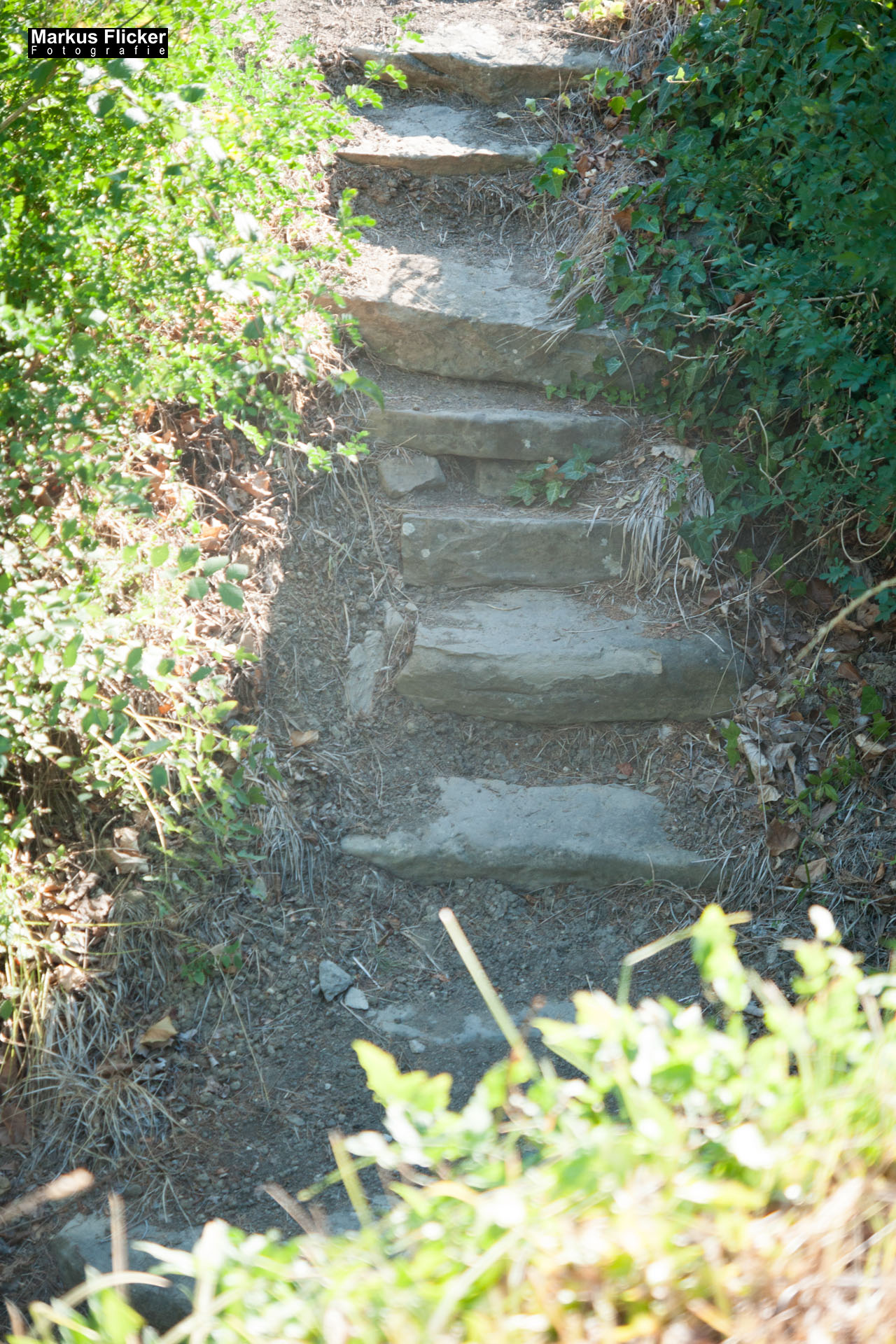 Portorož Slowenien Der charmante Hafen der Rose an der slowenischen Adria Portorož, der Hafen der Rose in Slowenien Pension Forma Viva