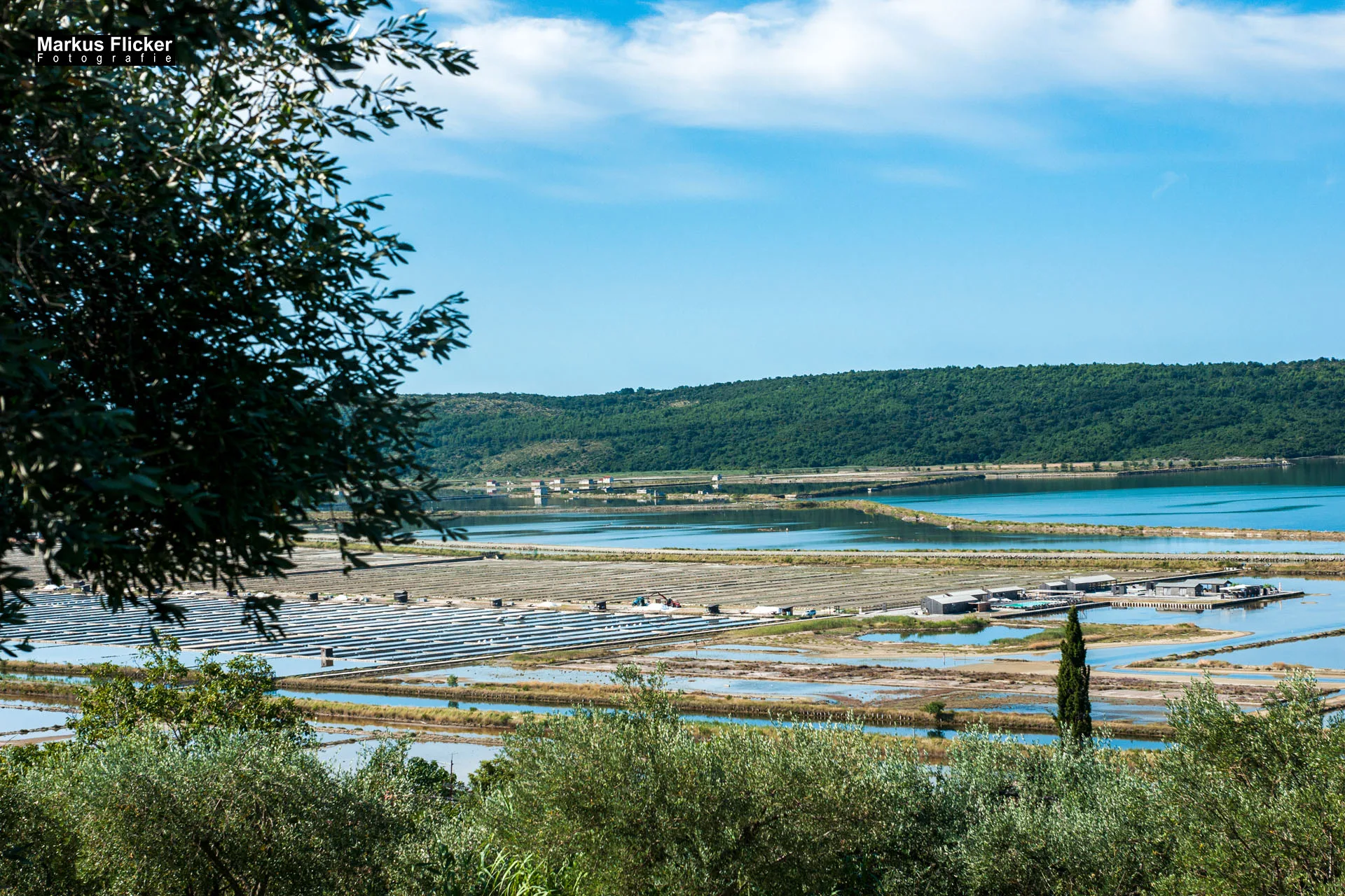 Portorož Slowenien Der charmante Hafen der Rose an der slowenischen Adria Portorož Slowenien Der charmante Hafen der Rose an der slowenischen Adria