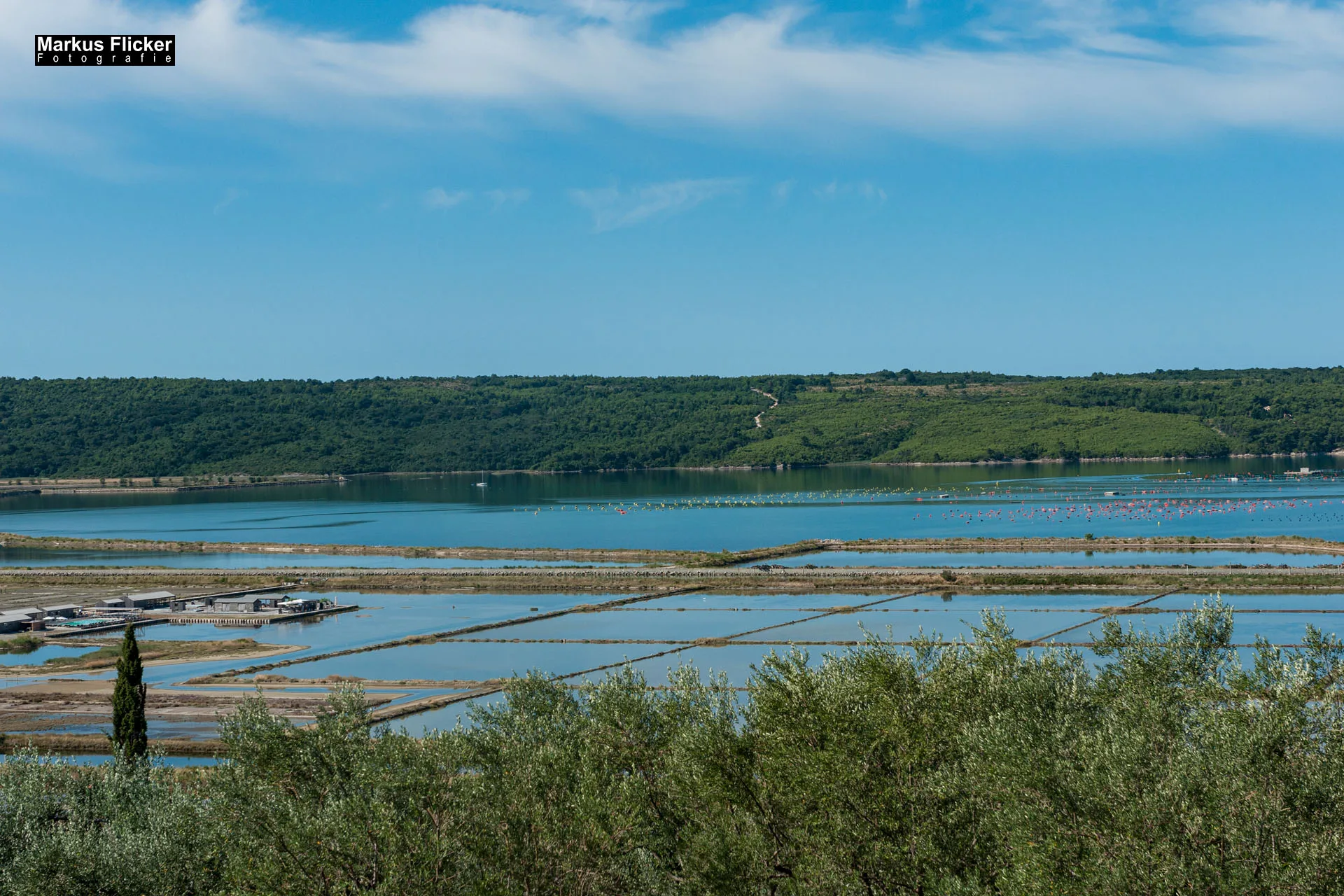 Portorož Slowenien Der charmante Hafen der Rose an der slowenischen Adria Portorož, der Hafen der Rose in Slowenien