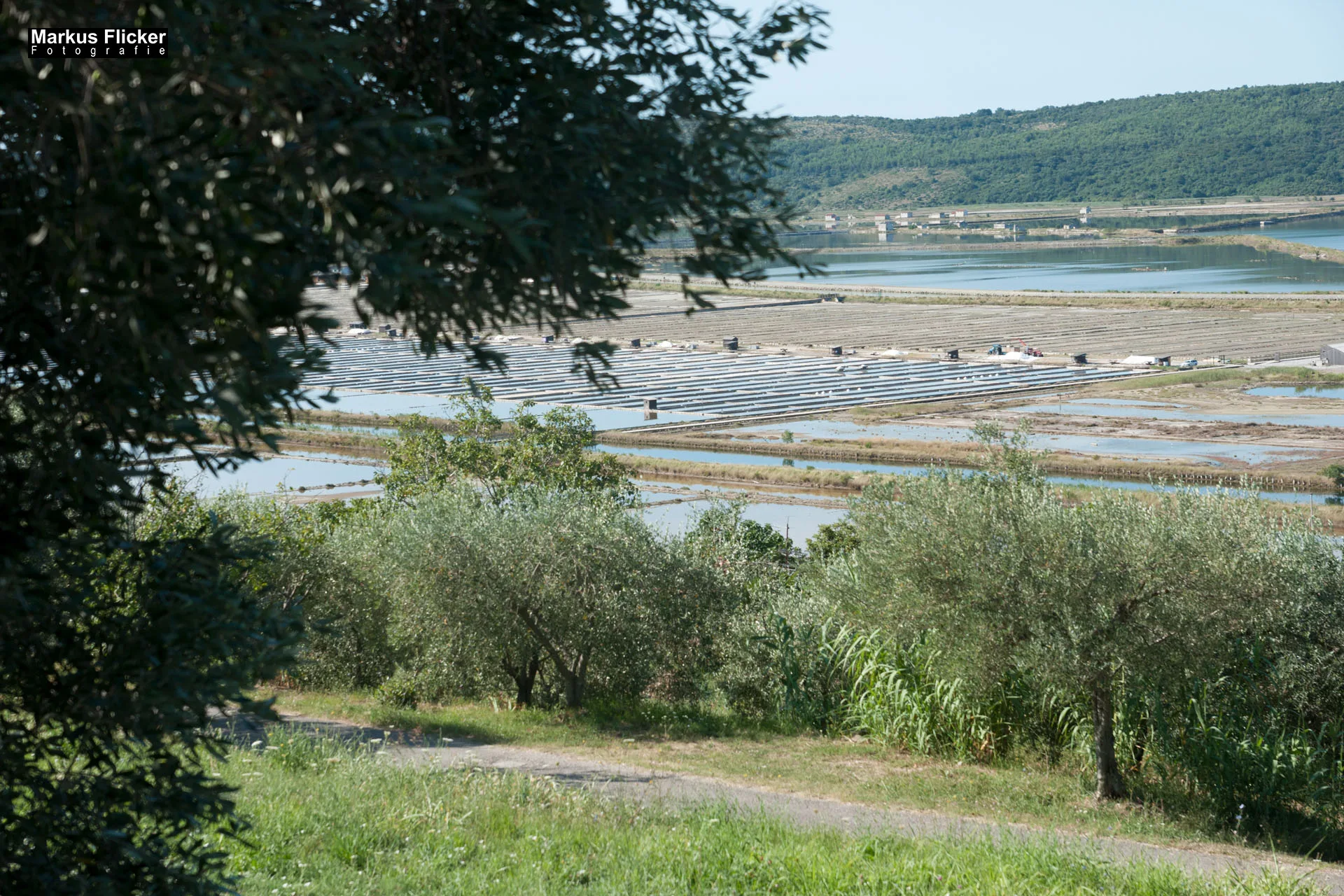 Portorož Slowenien Der charmante Hafen der Rose an der slowenischen Adria Portorož, der Hafen der Rose in Slowenien