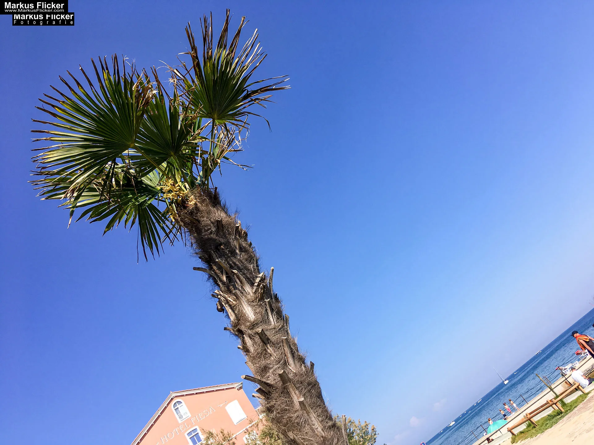 Campingplatz Kamp Fiesa (Autocamp) in Slowenien an der Adria