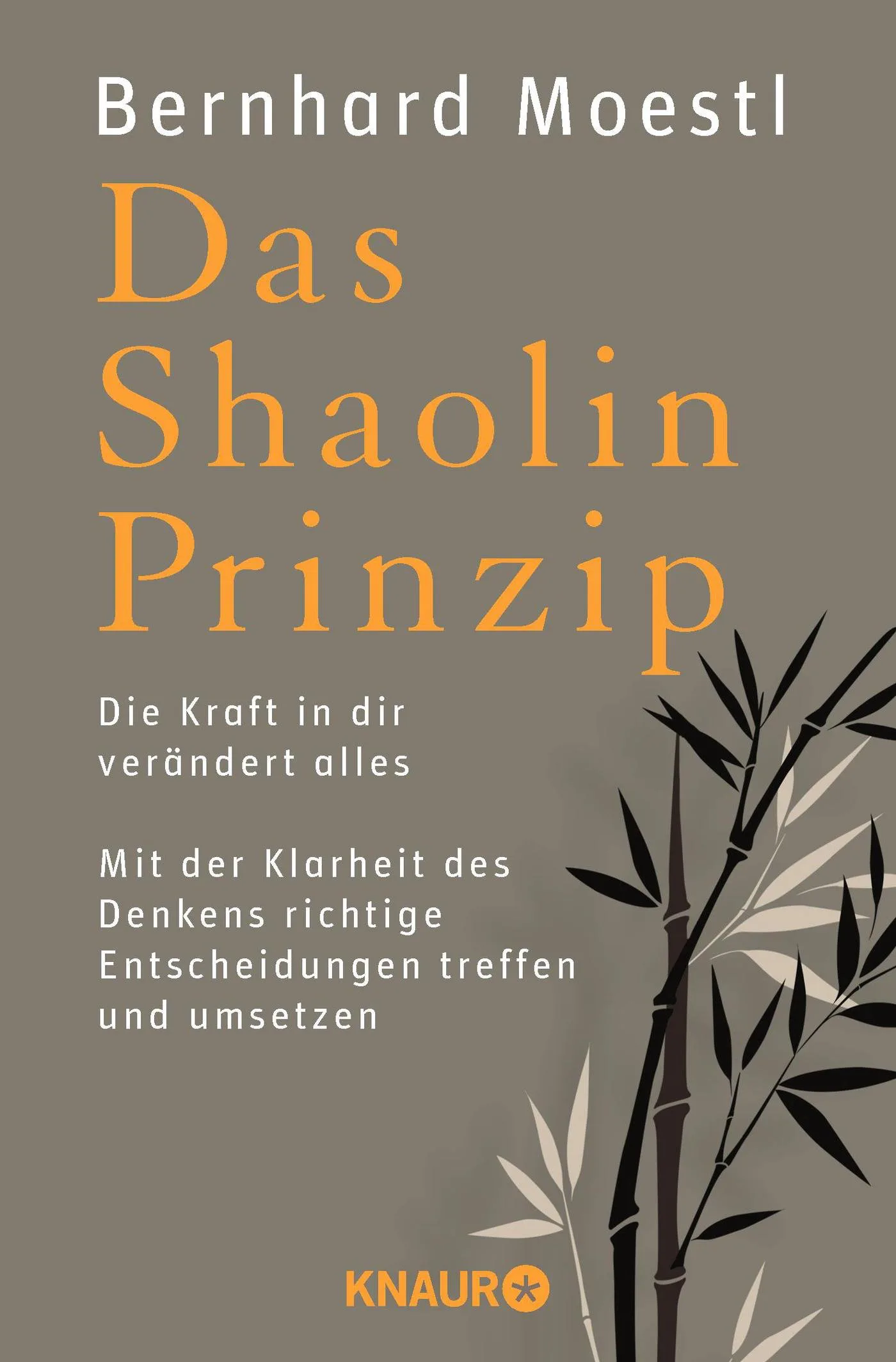 Das Shaolin-Prinzip: Die Kraft in dir verändert alles. Mit der Klarheit des Denkens richtige Entscheidungen treffen und umsetzen von Bernhard Möstl